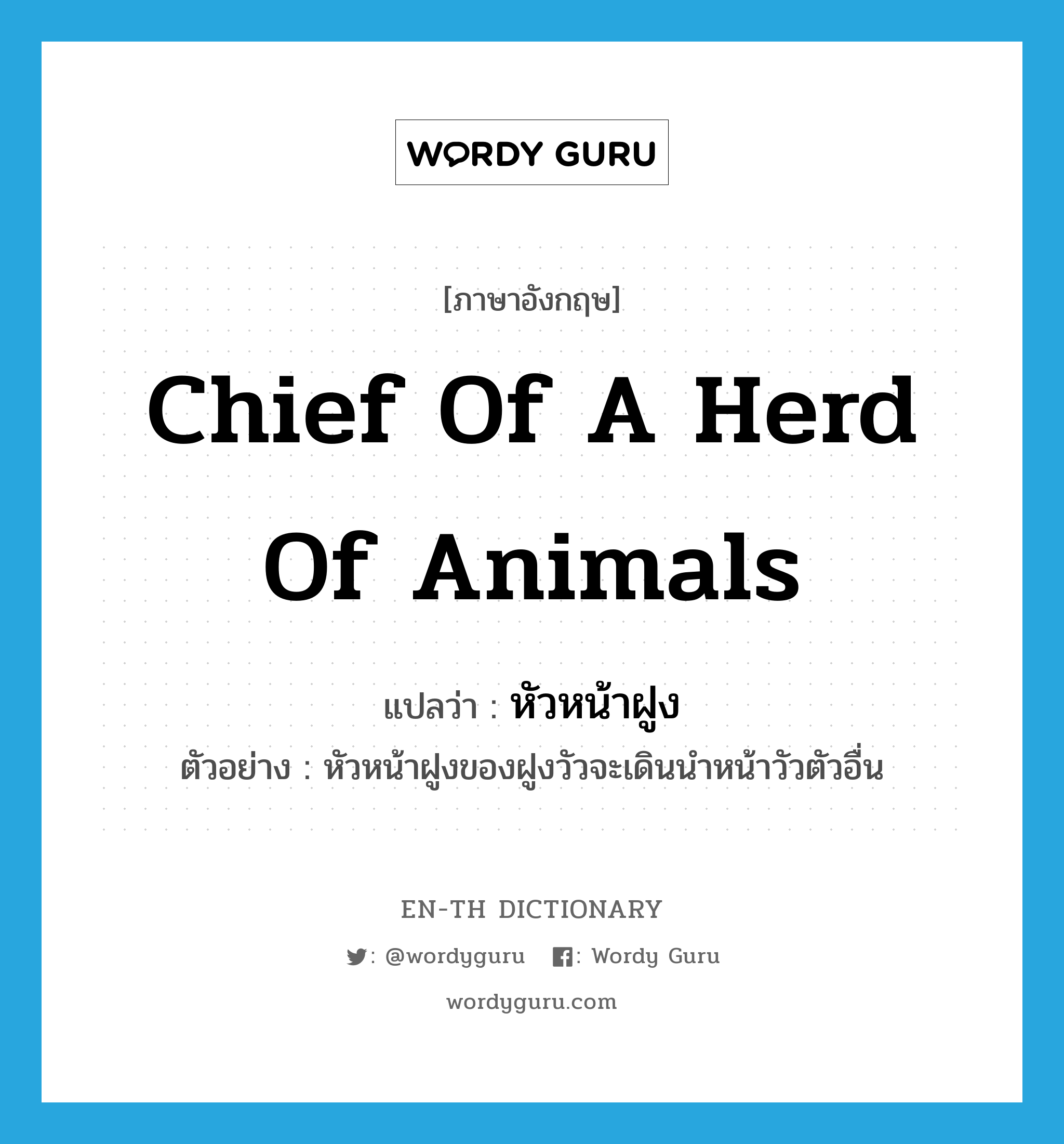 chief of a herd of animals แปลว่า?, คำศัพท์ภาษาอังกฤษ chief of a herd of animals แปลว่า หัวหน้าฝูง ประเภท N ตัวอย่าง หัวหน้าฝูงของฝูงวัวจะเดินนำหน้าวัวตัวอื่น หมวด N