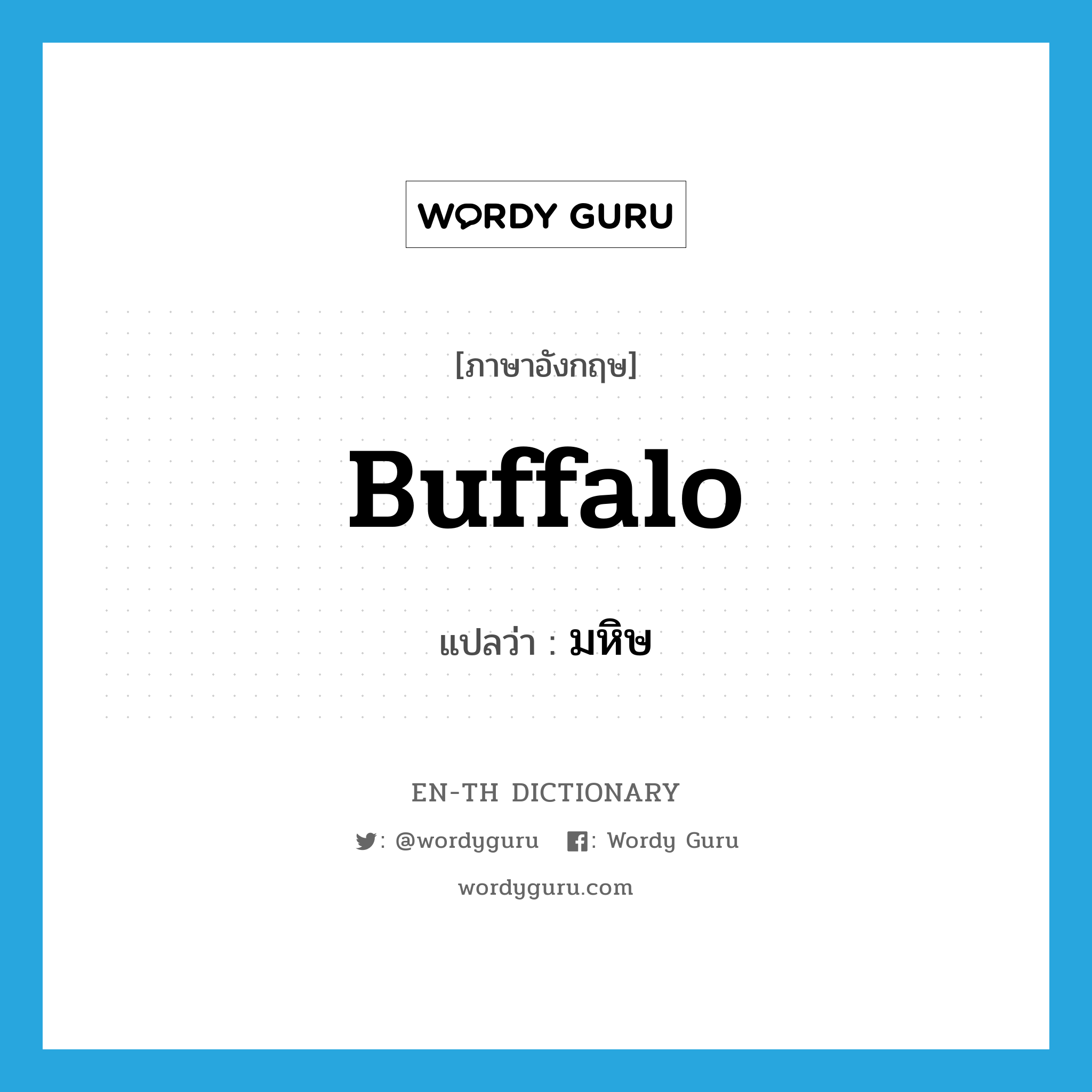 buffalo แปลว่า?, คำศัพท์ภาษาอังกฤษ buffalo แปลว่า มหิษ ประเภท N หมวด N