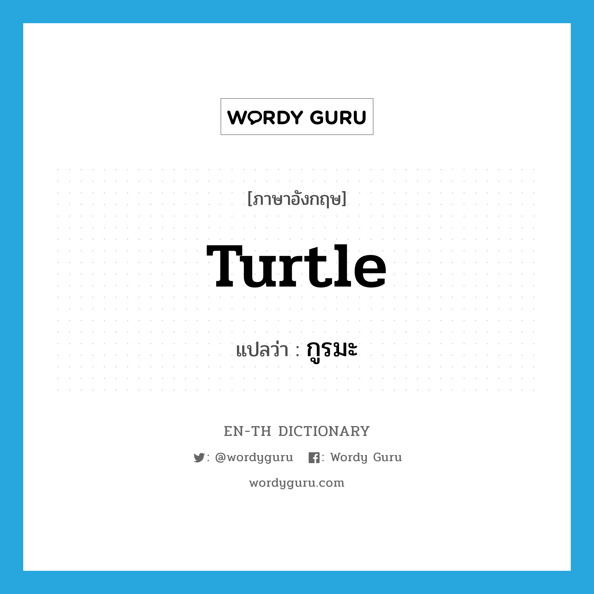 turtle แปลว่า?, คำศัพท์ภาษาอังกฤษ turtle แปลว่า กูรมะ ประเภท N หมวด N