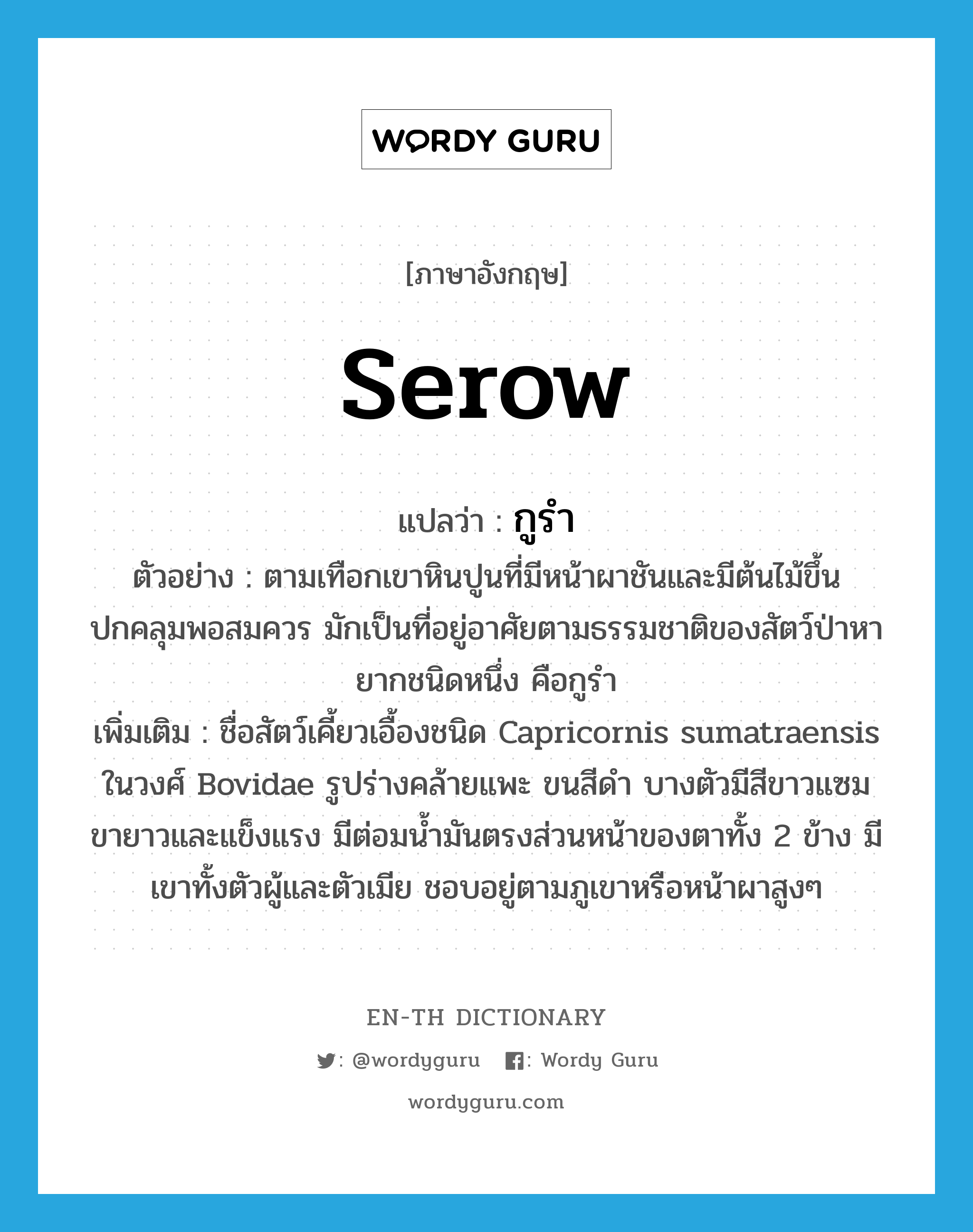 serow แปลว่า?, คำศัพท์ภาษาอังกฤษ serow แปลว่า กูรำ ประเภท N ตัวอย่าง ตามเทือกเขาหินปูนที่มีหน้าผาชันและมีต้นไม้ขึ้นปกคลุมพอสมควร มักเป็นที่อยู่อาศัยตามธรรมชาติของสัตว์ป่าหายากชนิดหนึ่ง คือกูรำ เพิ่มเติม ชื่อสัตว์เคี้ยวเอื้องชนิด Capricornis sumatraensis ในวงศ์ Bovidae รูปร่างคล้ายแพะ ขนสีดำ บางตัวมีสีขาวแซม ขายาวและแข็งแรง มีต่อมน้ำมันตรงส่วนหน้าของตาทั้ง 2 ข้าง มีเขาทั้งตัวผู้และตัวเมีย ชอบอยู่ตามภูเขาหรือหน้าผาสูงๆ หมวด N