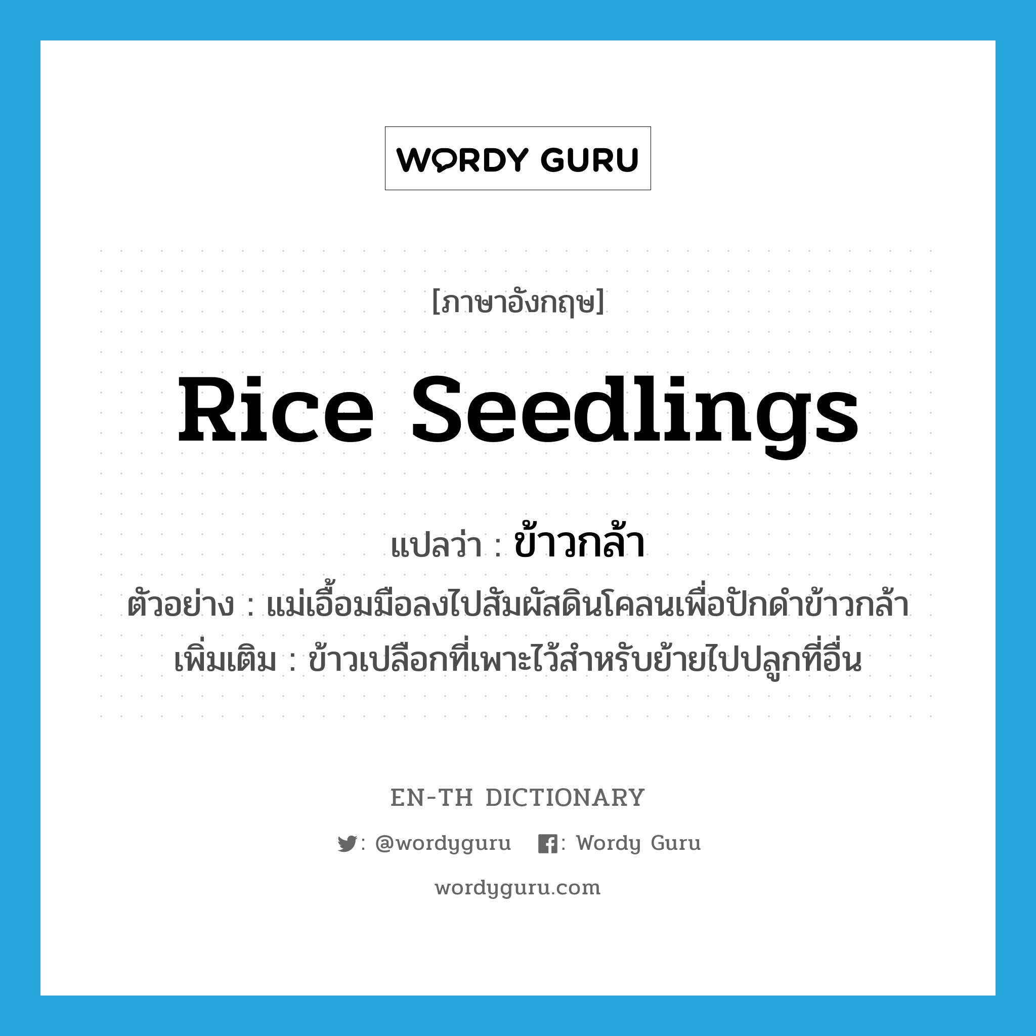 rice seedlings แปลว่า?, คำศัพท์ภาษาอังกฤษ rice seedlings แปลว่า ข้าวกล้า ประเภท N ตัวอย่าง แม่เอื้อมมือลงไปสัมผัสดินโคลนเพื่อปักดำข้าวกล้า เพิ่มเติม ข้าวเปลือกที่เพาะไว้สำหรับย้ายไปปลูกที่อื่น หมวด N