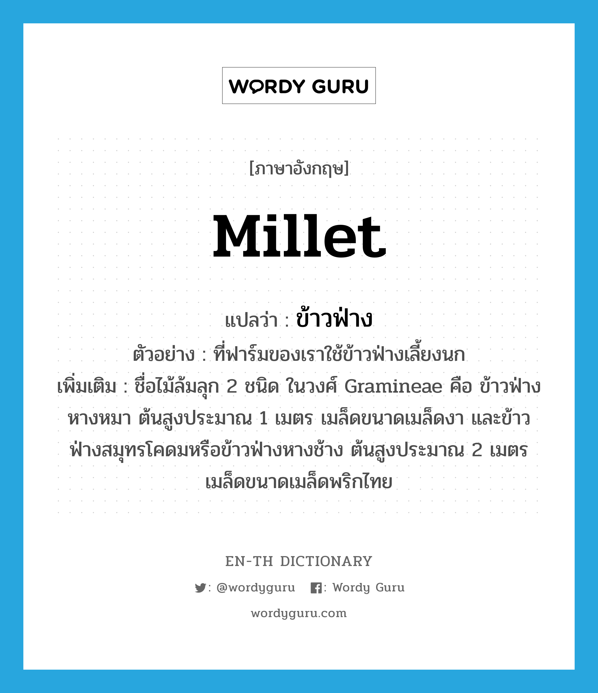 millet แปลว่า?, คำศัพท์ภาษาอังกฤษ millet แปลว่า ข้าวฟ่าง ประเภท N ตัวอย่าง ที่ฟาร์มของเราใช้ข้าวฟ่างเลี้ยงนก เพิ่มเติม ชื่อไม้ล้มลุก 2 ชนิด ในวงศ์ Gramineae คือ ข้าวฟ่างหางหมา ต้นสูงประมาณ 1 เมตร เมล็ดขนาดเมล็ดงา และข้าวฟ่างสมุทรโคดมหรือข้าวฟ่างหางช้าง ต้นสูงประมาณ 2 เมตร เมล็ดขนาดเมล็ดพริกไทย หมวด N