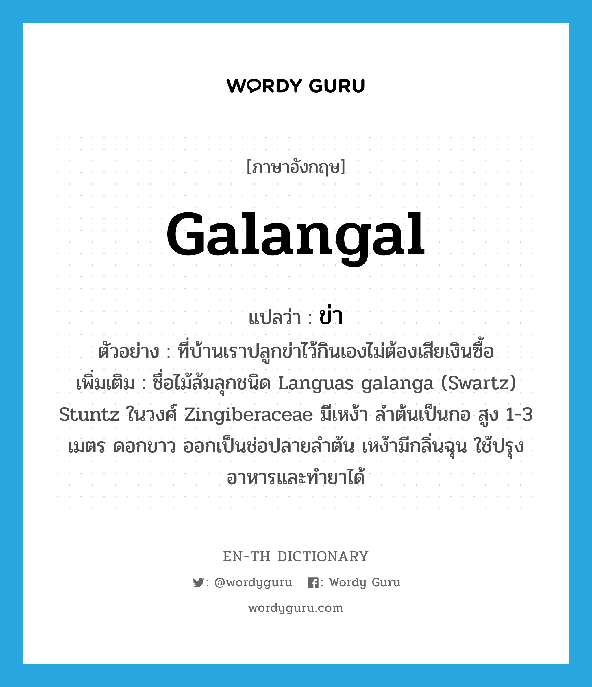 galangal แปลว่า?, คำศัพท์ภาษาอังกฤษ galangal แปลว่า ข่า ประเภท N ตัวอย่าง ที่บ้านเราปลูกข่าไว้กินเองไม่ต้องเสียเงินซื้อ เพิ่มเติม ชื่อไม้ล้มลุกชนิด Languas galanga (Swartz) Stuntz ในวงศ์ Zingiberaceae มีเหง้า ลำต้นเป็นกอ สูง 1-3 เมตร ดอกขาว ออกเป็นช่อปลายลำต้น เหง้ามีกลิ่นฉุน ใช้ปรุงอาหารและทำยาได้ หมวด N