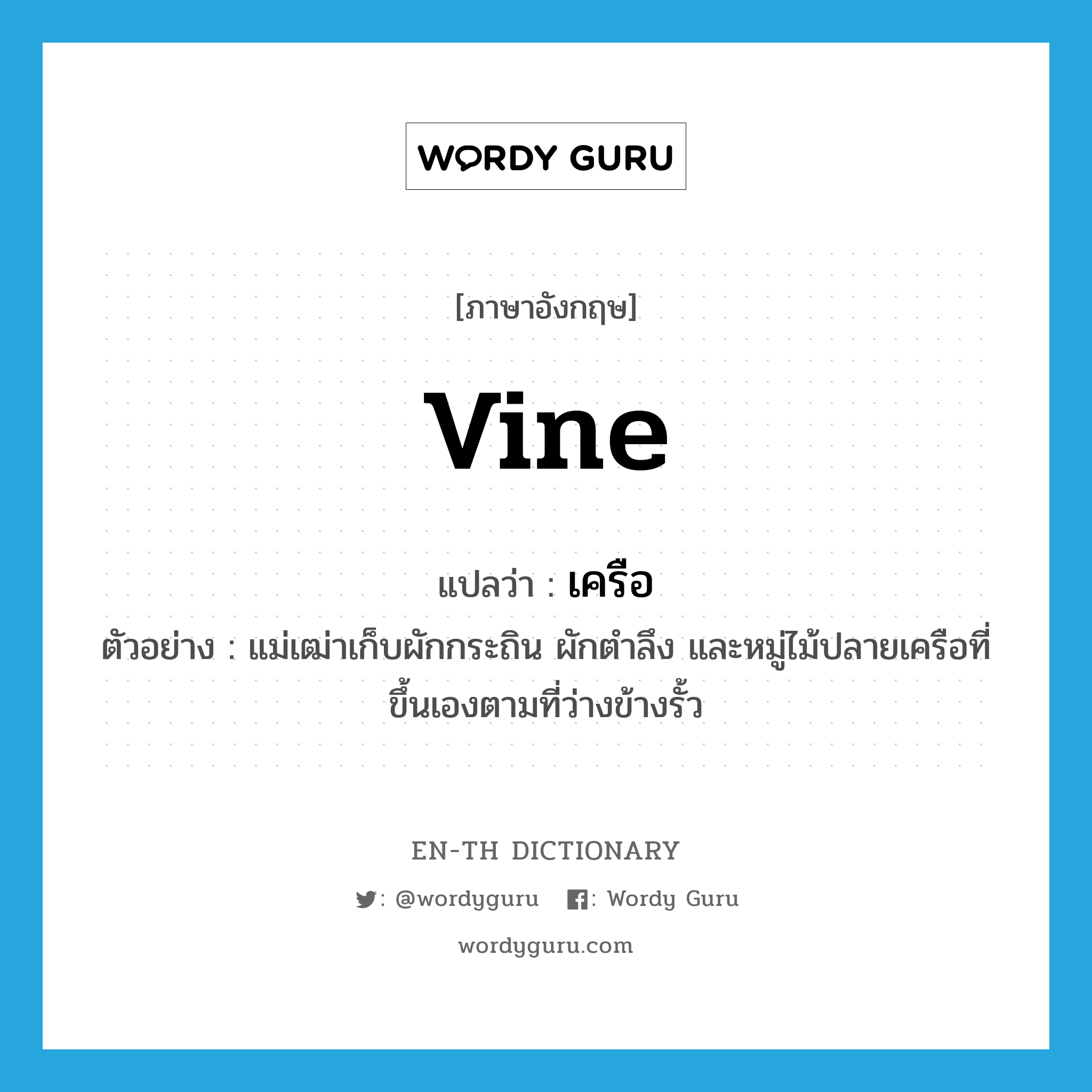 vine แปลว่า?, คำศัพท์ภาษาอังกฤษ vine แปลว่า เครือ ประเภท N ตัวอย่าง แม่เฒ่าเก็บผักกระถิน ผักตำลึง และหมู่ไม้ปลายเครือที่ขึ้นเองตามที่ว่างข้างรั้ว หมวด N