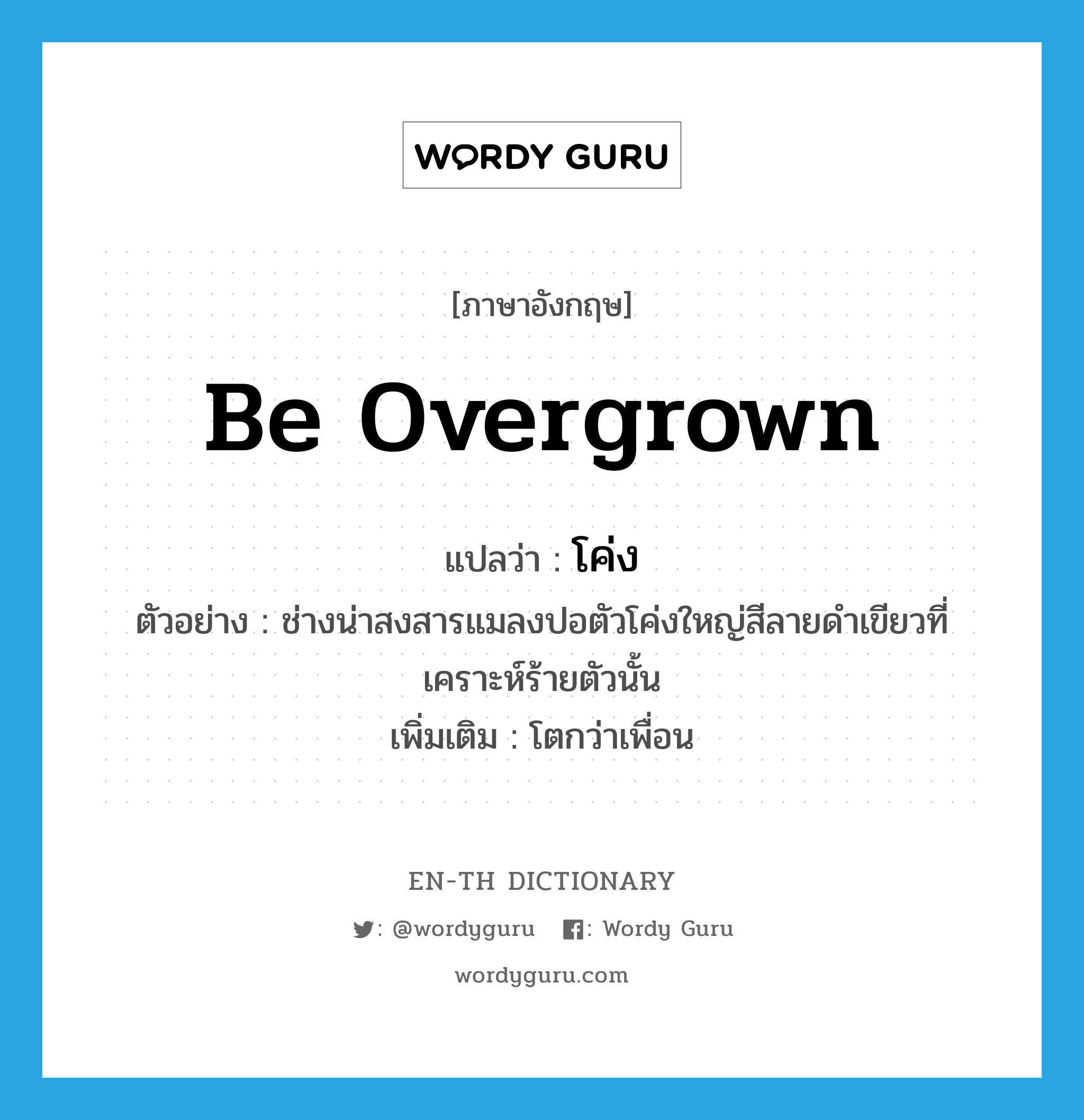 be overgrown แปลว่า?, คำศัพท์ภาษาอังกฤษ be overgrown แปลว่า โค่ง ประเภท V ตัวอย่าง ช่างน่าสงสารแมลงปอตัวโค่งใหญ่สีลายดำเขียวที่เคราะห์ร้ายตัวนั้น เพิ่มเติม โตกว่าเพื่อน หมวด V