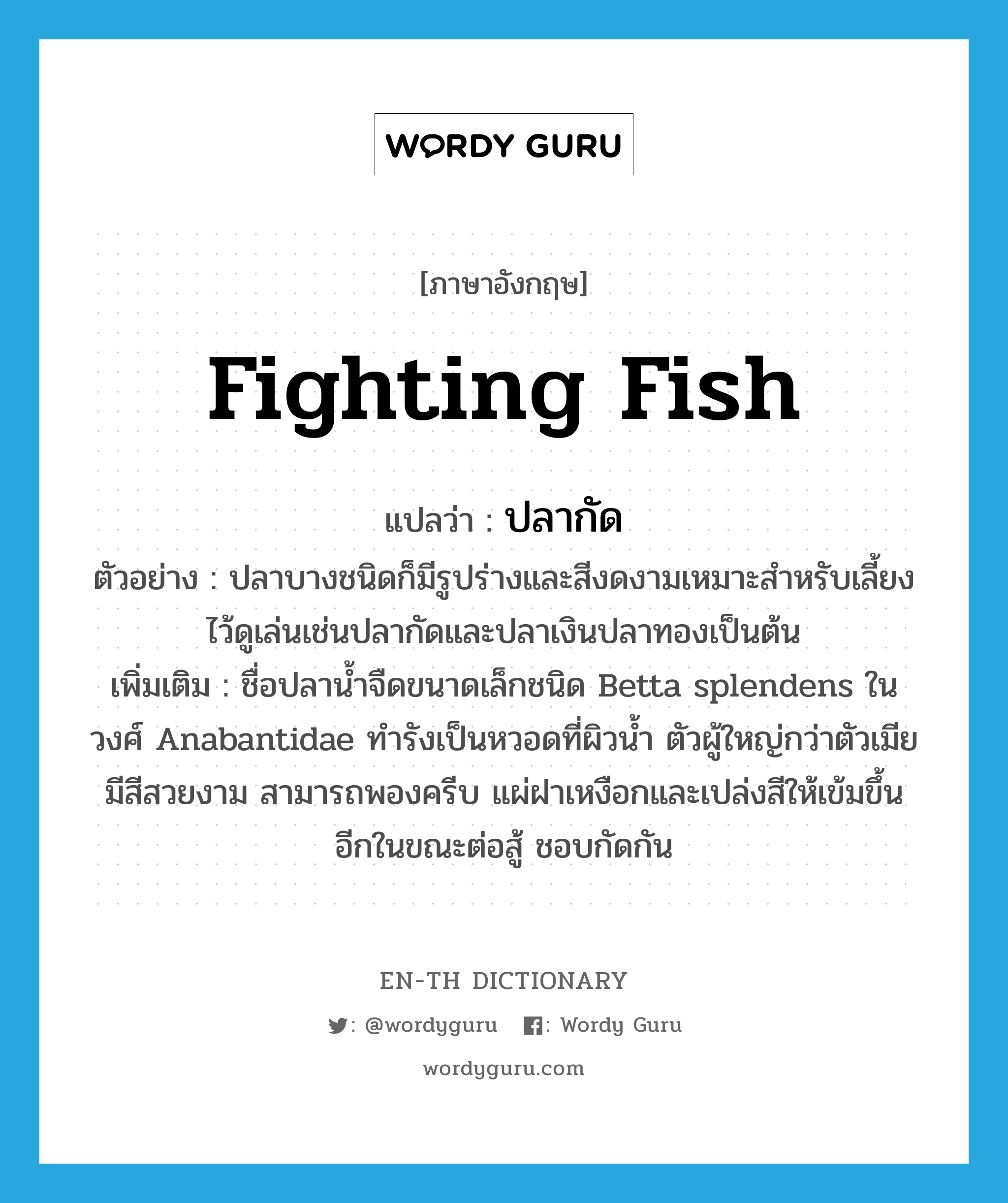 fighting fish แปลว่า?, คำศัพท์ภาษาอังกฤษ fighting fish แปลว่า ปลากัด ประเภท N ตัวอย่าง ปลาบางชนิดก็มีรูปร่างและสีงดงามเหมาะสำหรับเลี้ยงไว้ดูเล่นเช่นปลากัดและปลาเงินปลาทองเป็นต้น เพิ่มเติม ชื่อปลาน้ำจืดขนาดเล็กชนิด Betta splendens ในวงศ์ Anabantidae ทำรังเป็นหวอดที่ผิวน้ำ ตัวผู้ใหญ่กว่าตัวเมีย มีสีสวยงาม สามารถพองครีบ แผ่ฝาเหงือกและเปล่งสีให้เข้มขึ้นอีกในขณะต่อสู้ ชอบกัดกัน หมวด N