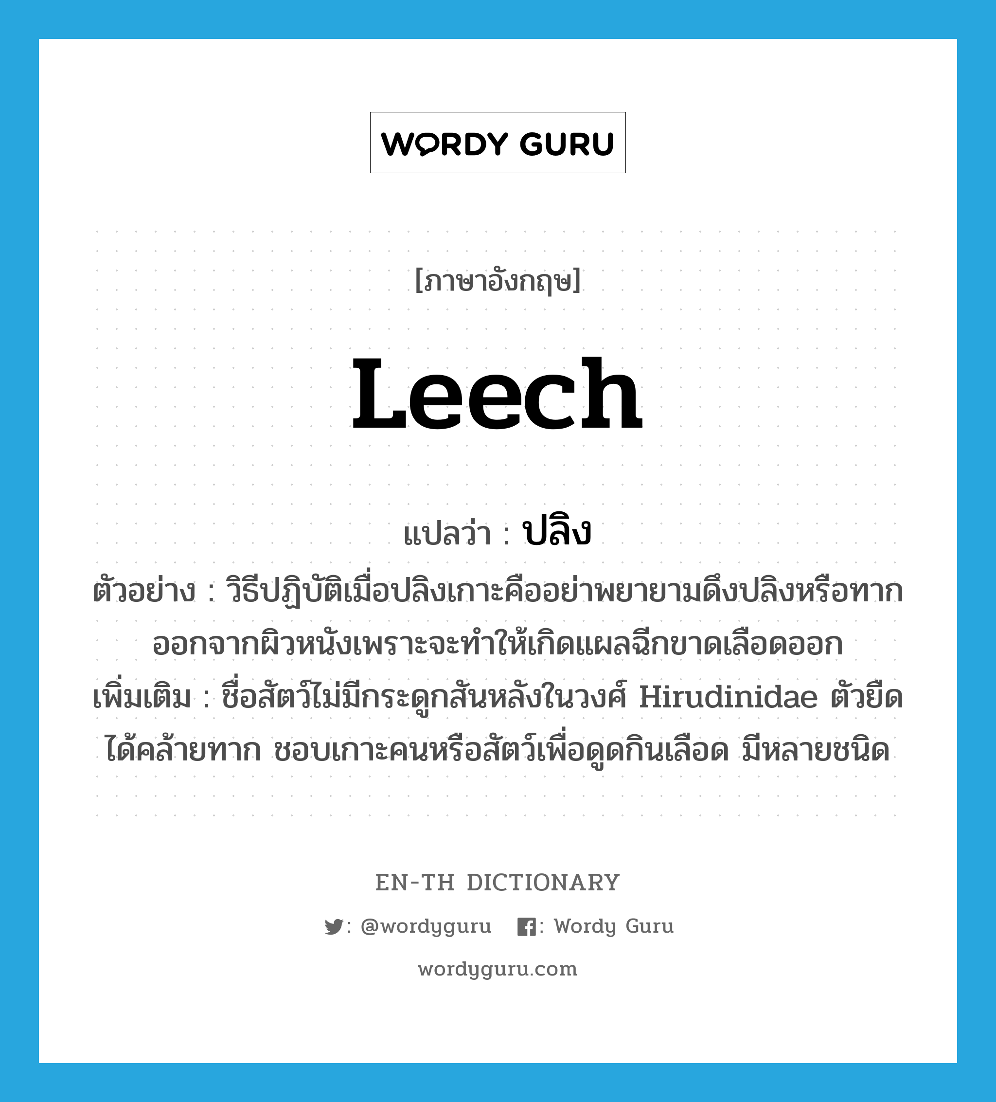 leech แปลว่า?, คำศัพท์ภาษาอังกฤษ leech แปลว่า ปลิง ประเภท N ตัวอย่าง วิธีปฏิบัติเมื่อปลิงเกาะคืออย่าพยายามดึงปลิงหรือทากออกจากผิวหนังเพราะจะทำให้เกิดแผลฉีกขาดเลือดออก เพิ่มเติม ชื่อสัตว์ไม่มีกระดูกสันหลังในวงศ์ Hirudinidae ตัวยืดได้คล้ายทาก ชอบเกาะคนหรือสัตว์เพื่อดูดกินเลือด มีหลายชนิด หมวด N