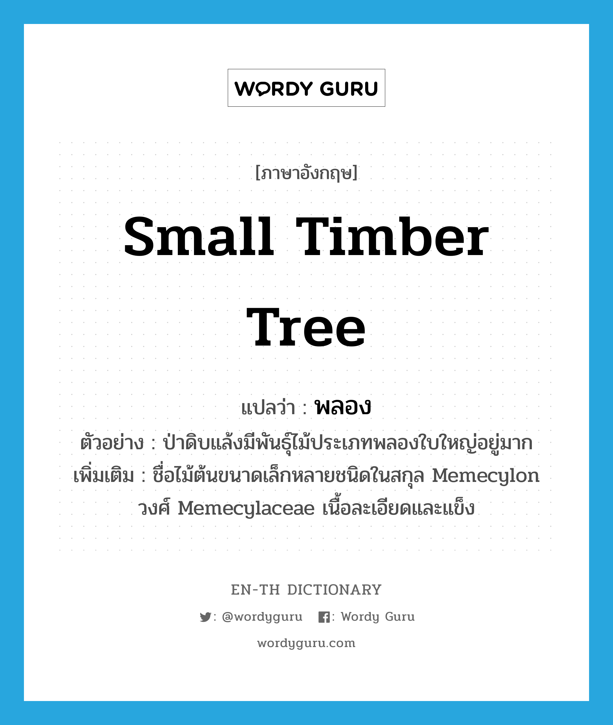 small timber tree แปลว่า?, คำศัพท์ภาษาอังกฤษ small timber tree แปลว่า พลอง ประเภท N ตัวอย่าง ป่าดิบแล้งมีพันธุ์ไม้ประเภทพลองใบใหญ่อยู่มาก เพิ่มเติม ชื่อไม้ต้นขนาดเล็กหลายชนิดในสกุล Memecylon วงศ์ Memecylaceae เนื้อละเอียดและแข็ง หมวด N