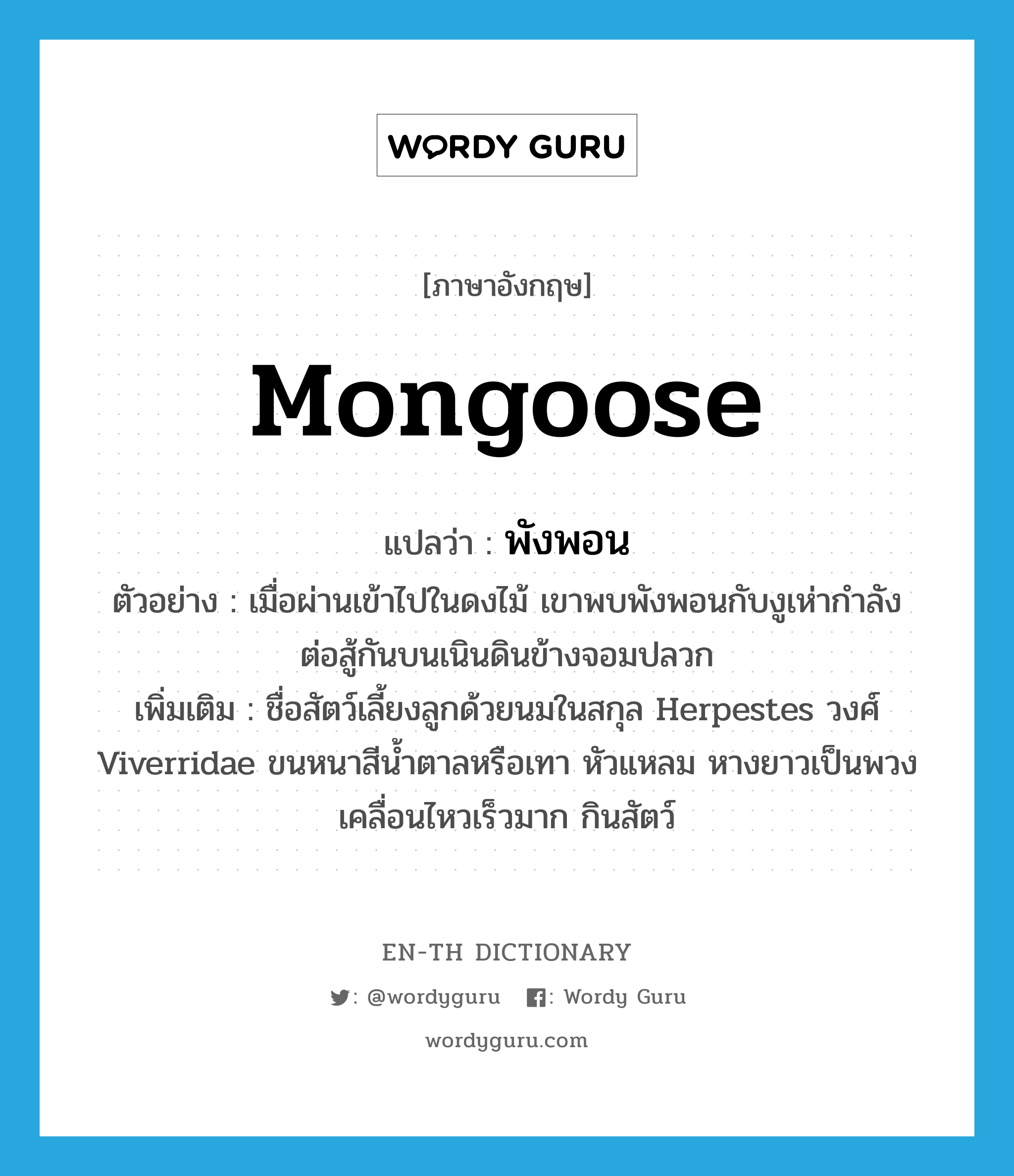 mongoose แปลว่า?, คำศัพท์ภาษาอังกฤษ mongoose แปลว่า พังพอน ประเภท N ตัวอย่าง เมื่อผ่านเข้าไปในดงไม้ เขาพบพังพอนกับงูเห่ากำลังต่อสู้กันบนเนินดินข้างจอมปลวก เพิ่มเติม ชื่อสัตว์เลี้ยงลูกด้วยนมในสกุล Herpestes วงศ์ Viverridae ขนหนาสีน้ำตาลหรือเทา หัวแหลม หางยาวเป็นพวง เคลื่อนไหวเร็วมาก กินสัตว์ หมวด N