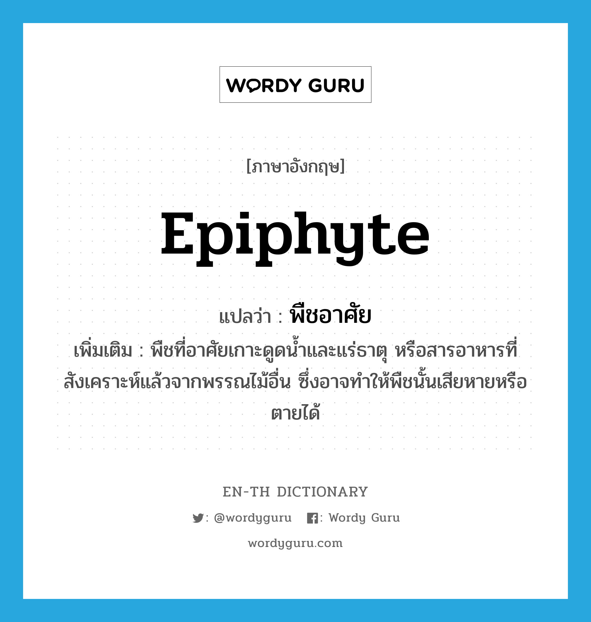 epiphyte แปลว่า?, คำศัพท์ภาษาอังกฤษ epiphyte แปลว่า พืชอาศัย ประเภท N เพิ่มเติม พืชที่อาศัยเกาะดูดน้ำและแร่ธาตุ หรือสารอาหารที่สังเคราะห์แล้วจากพรรณไม้อื่น ซึ่งอาจทำให้พืชนั้นเสียหายหรือตายได้ หมวด N