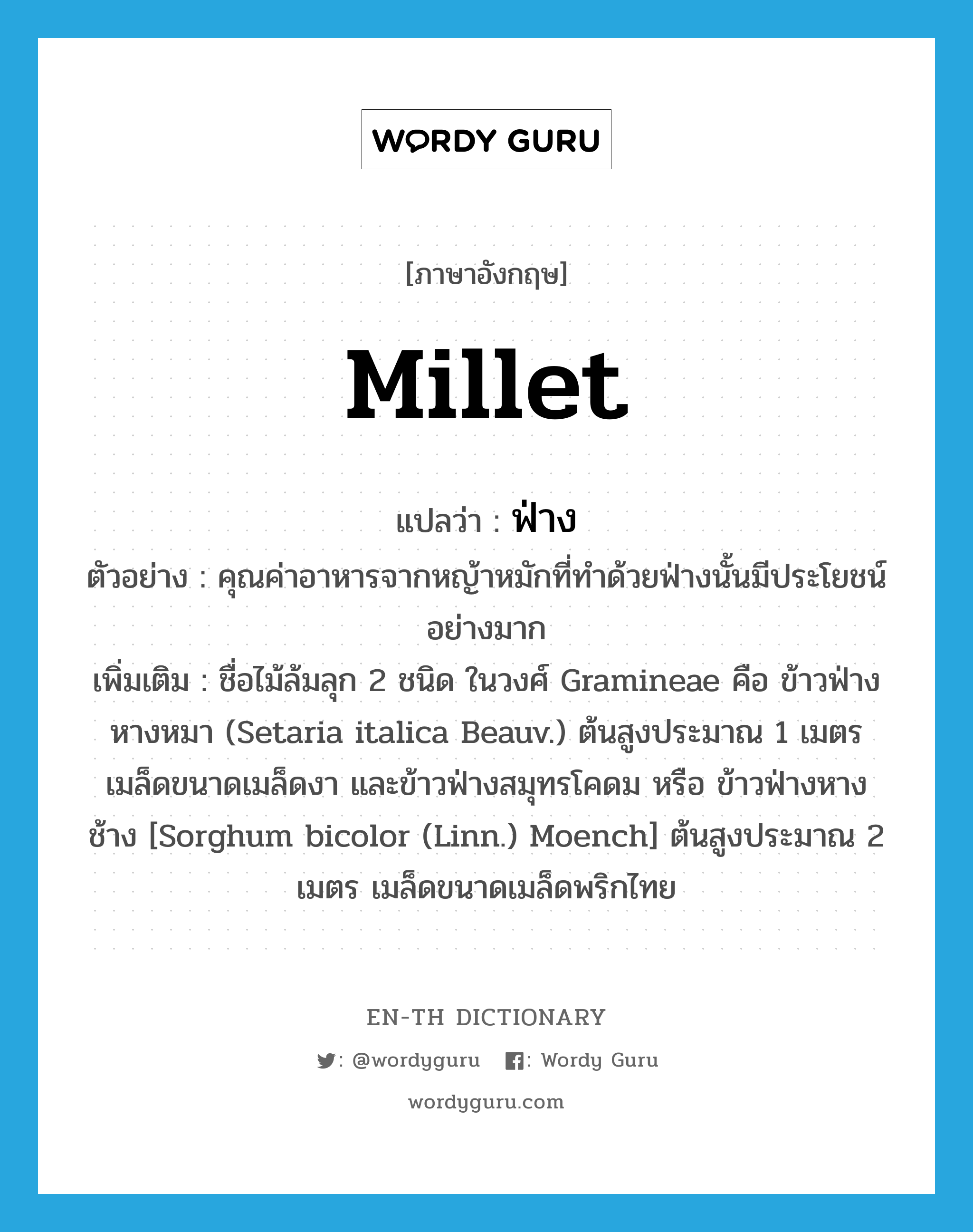 millet แปลว่า?, คำศัพท์ภาษาอังกฤษ millet แปลว่า ฟ่าง ประเภท N ตัวอย่าง คุณค่าอาหารจากหญ้าหมักที่ทำด้วยฟ่างนั้นมีประโยชน์อย่างมาก เพิ่มเติม ชื่อไม้ล้มลุก 2 ชนิด ในวงศ์ Gramineae คือ ข้าวฟ่างหางหมา (Setaria italica Beauv.) ต้นสูงประมาณ 1 เมตร เมล็ดขนาดเมล็ดงา และข้าวฟ่างสมุทรโคดม หรือ ข้าวฟ่างหางช้าง [Sorghum bicolor (Linn.) Moench] ต้นสูงประมาณ 2 เมตร เมล็ดขนาดเมล็ดพริกไทย หมวด N