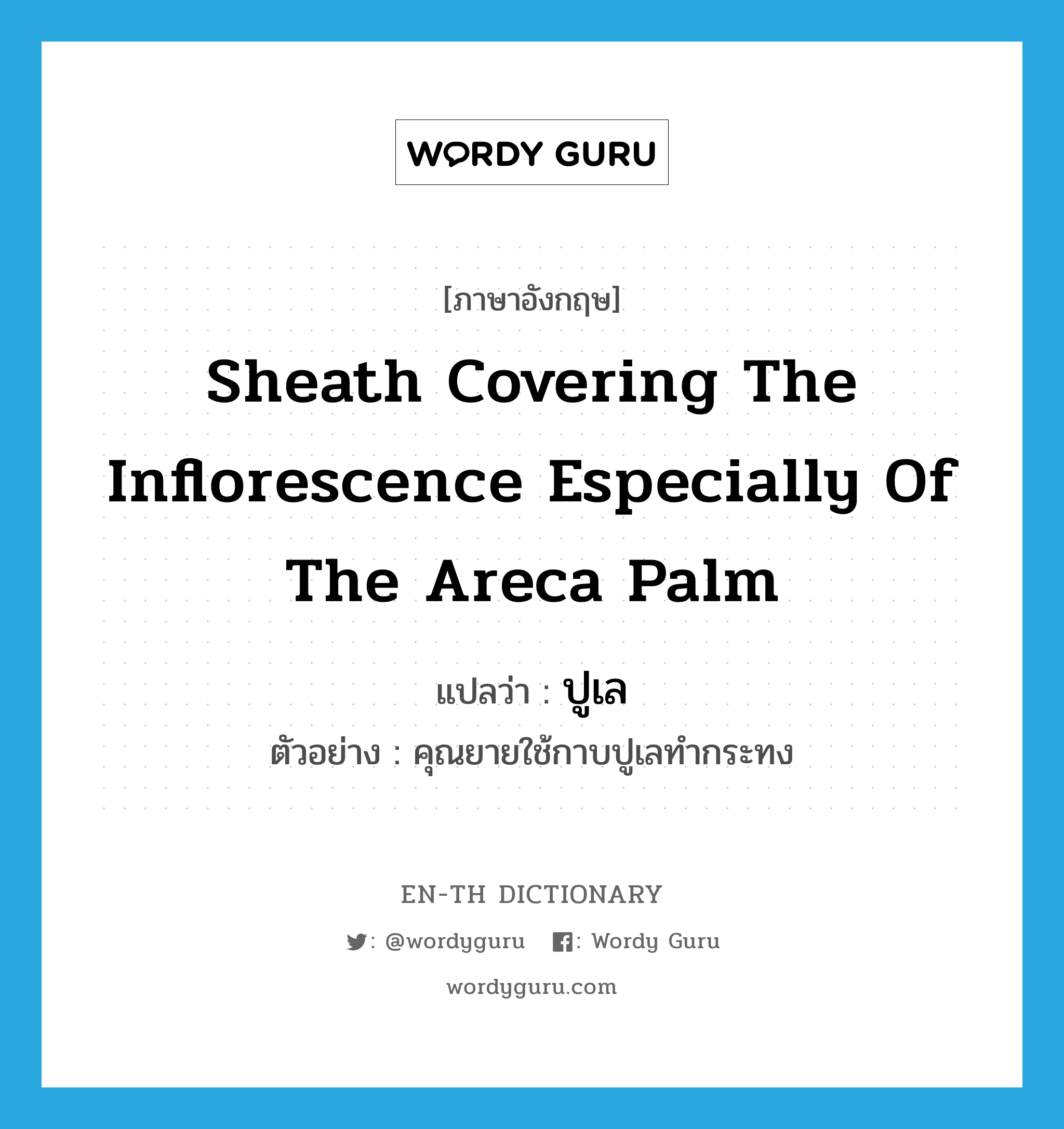 sheath covering the inflorescence especially of the areca palm แปลว่า?, คำศัพท์ภาษาอังกฤษ sheath covering the inflorescence especially of the areca palm แปลว่า ปูเล ประเภท N ตัวอย่าง คุณยายใช้กาบปูเลทำกระทง หมวด N