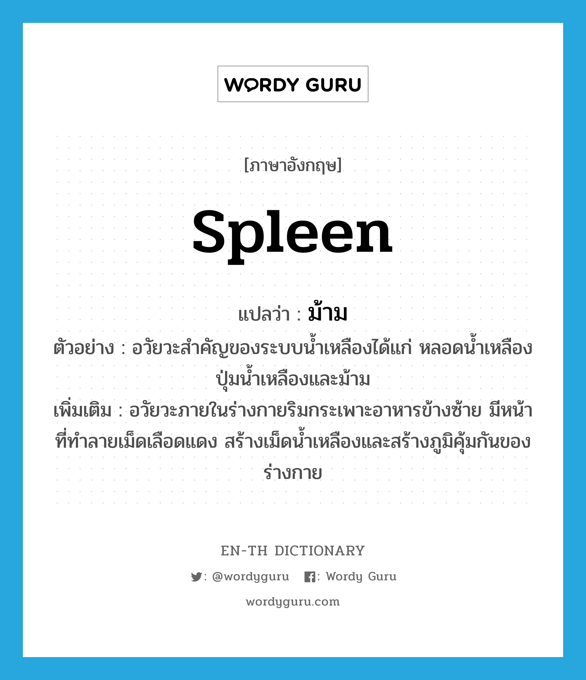 spleen แปลว่า?, คำศัพท์ภาษาอังกฤษ spleen แปลว่า ม้าม ประเภท N ตัวอย่าง อวัยวะสำคัญของระบบน้ำเหลืองได้แก่ หลอดน้ำเหลือง ปุ่มน้ำเหลืองและม้าม เพิ่มเติม อวัยวะภายในร่างกายริมกระเพาะอาหารข้างซ้าย มีหน้าที่ทำลายเม็ดเลือดแดง สร้างเม็ดน้ำเหลืองและสร้างภูมิคุ้มกันของร่างกาย หมวด N