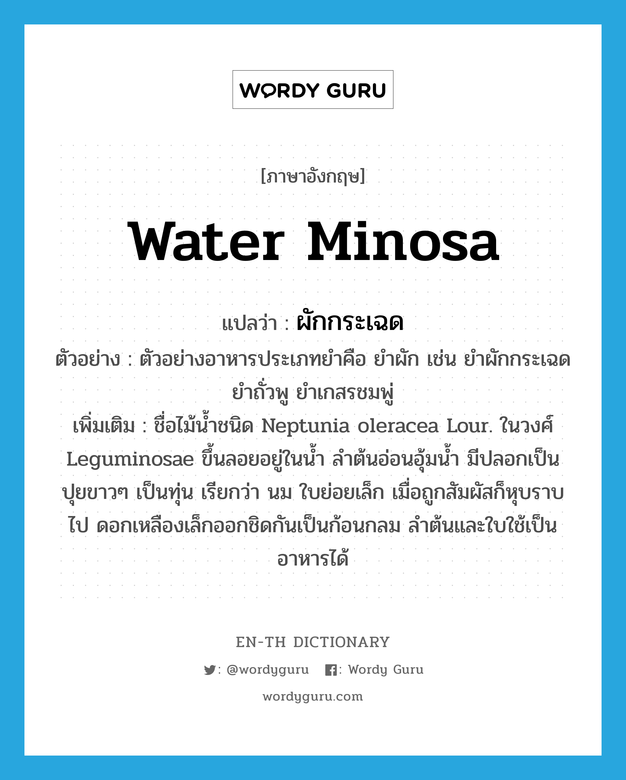 water minosa แปลว่า?, คำศัพท์ภาษาอังกฤษ water minosa แปลว่า ผักกระเฉด ประเภท N ตัวอย่าง ตัวอย่างอาหารประเภทยำคือ ยำผัก เช่น ยำผักกระเฉด ยำถั่วพู ยำเกสรชมพู่ เพิ่มเติม ชื่อไม้น้ำชนิด Neptunia oleracea Lour. ในวงศ์ Leguminosae ขึ้นลอยอยู่ในน้ำ ลำต้นอ่อนอุ้มน้ำ มีปลอกเป็นปุยขาวๆ เป็นทุ่น เรียกว่า นม ใบย่อยเล็ก เมื่อถูกสัมผัสก็หุบราบไป ดอกเหลืองเล็กออกชิดกันเป็นก้อนกลม ลำต้นและใบใช้เป็นอาหารได้ หมวด N