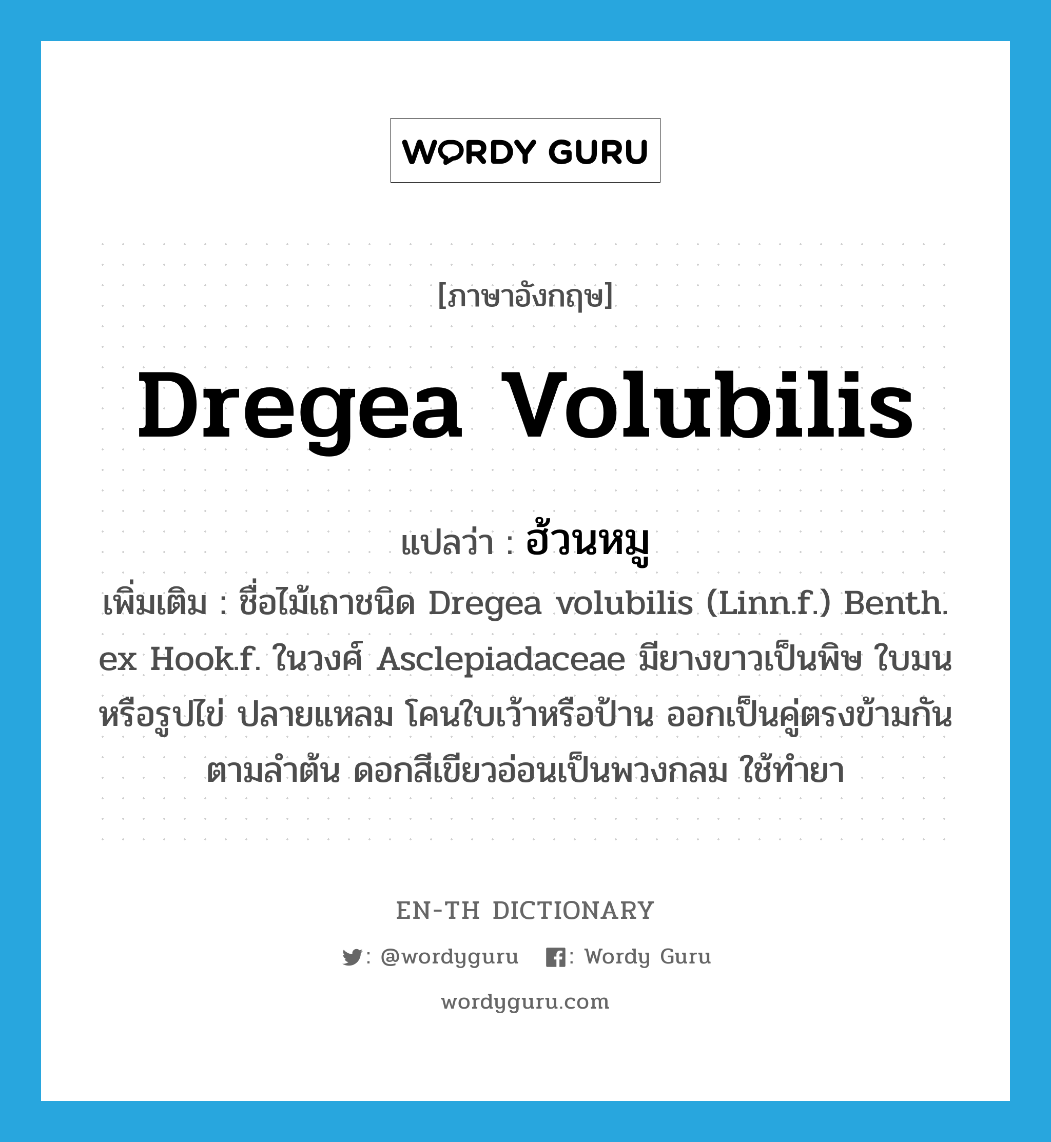 Dregea volubilis แปลว่า?, คำศัพท์ภาษาอังกฤษ Dregea volubilis แปลว่า ฮ้วนหมู ประเภท N เพิ่มเติม ชื่อไม้เถาชนิด Dregea volubilis (Linn.f.) Benth. ex Hook.f. ในวงศ์ Asclepiadaceae มียางขาวเป็นพิษ ใบมนหรือรูปไข่ ปลายแหลม โคนใบเว้าหรือป้าน ออกเป็นคู่ตรงข้ามกันตามลำต้น ดอกสีเขียวอ่อนเป็นพวงกลม ใช้ทำยา หมวด N