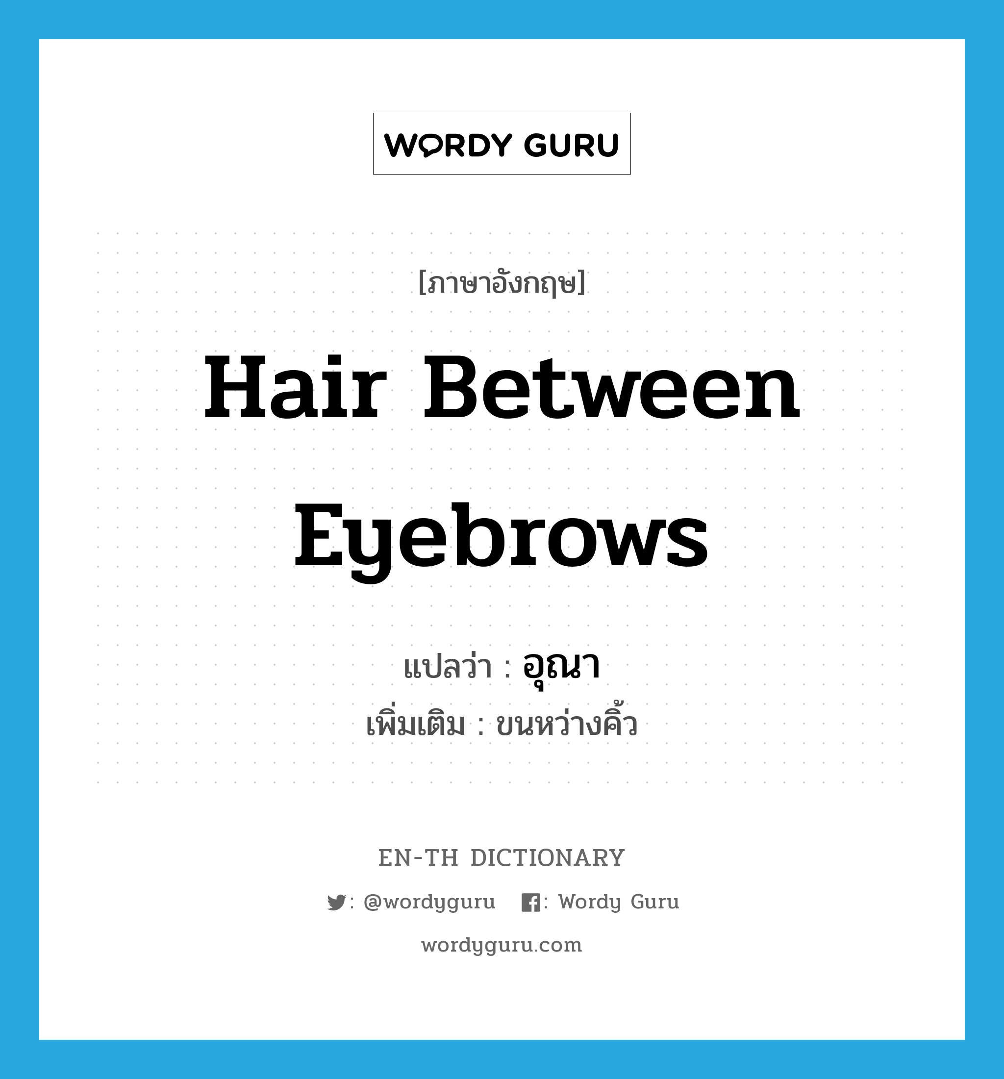 hair between eyebrows แปลว่า?, คำศัพท์ภาษาอังกฤษ hair between eyebrows แปลว่า อุณา ประเภท N เพิ่มเติม ขนหว่างคิ้ว หมวด N