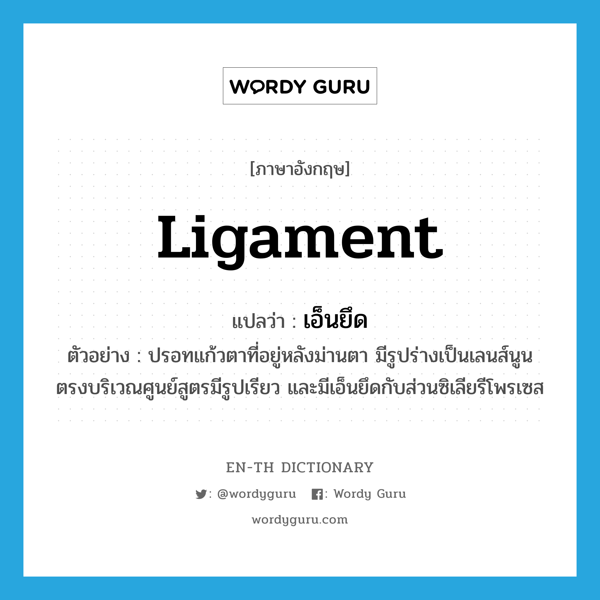 ligament แปลว่า?, คำศัพท์ภาษาอังกฤษ ligament แปลว่า เอ็นยึด ประเภท N ตัวอย่าง ปรอทแก้วตาที่อยู่หลังม่านตา มีรูปร่างเป็นเลนส์นูน ตรงบริเวณศูนย์สูตรมีรูปเรียว และมีเอ็นยึดกับส่วนซิเลียรีโพรเซส หมวด N