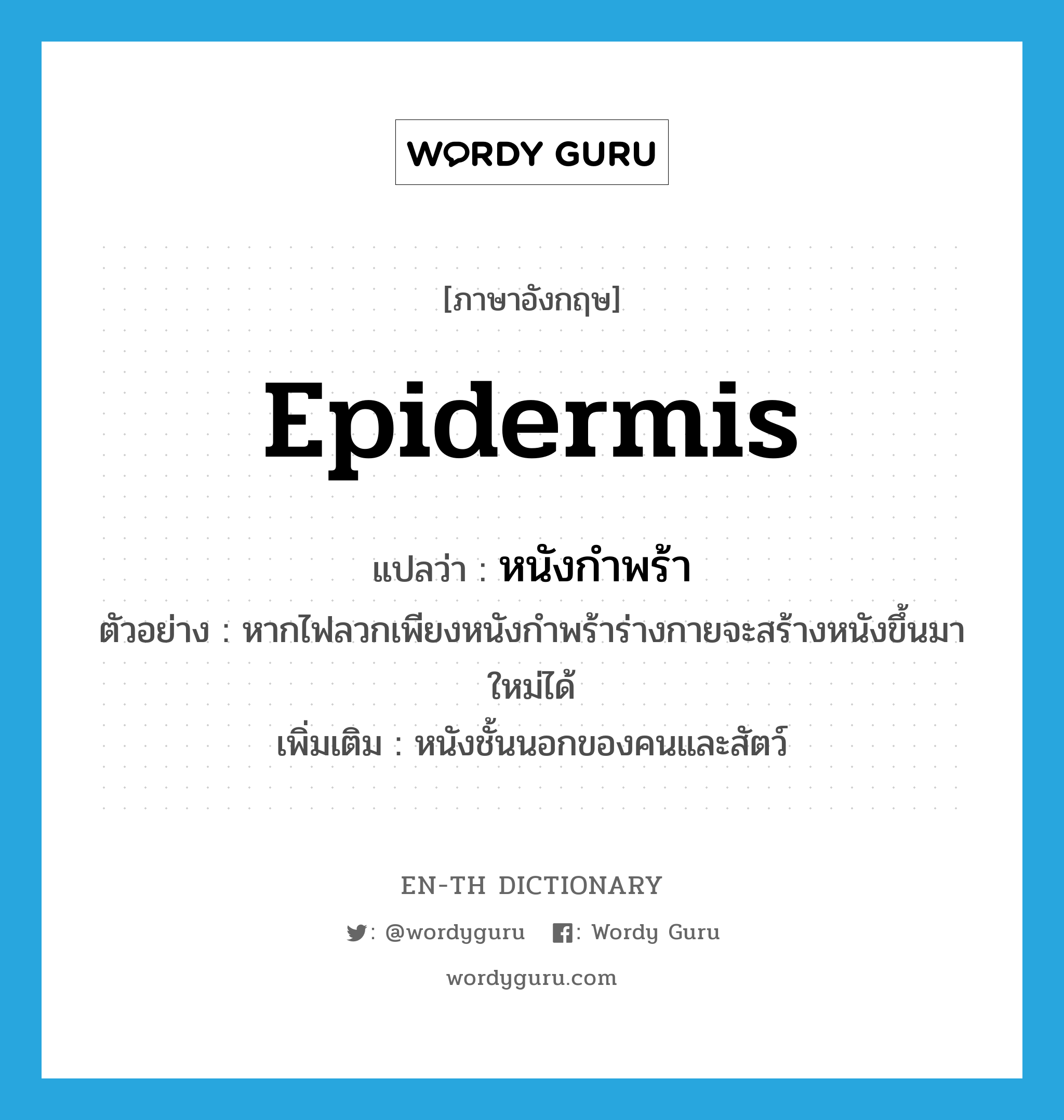 epidermis แปลว่า?, คำศัพท์ภาษาอังกฤษ epidermis แปลว่า หนังกำพร้า ประเภท N ตัวอย่าง หากไฟลวกเพียงหนังกำพร้าร่างกายจะสร้างหนังขึ้นมาใหม่ได้ เพิ่มเติม หนังชั้นนอกของคนและสัตว์ หมวด N