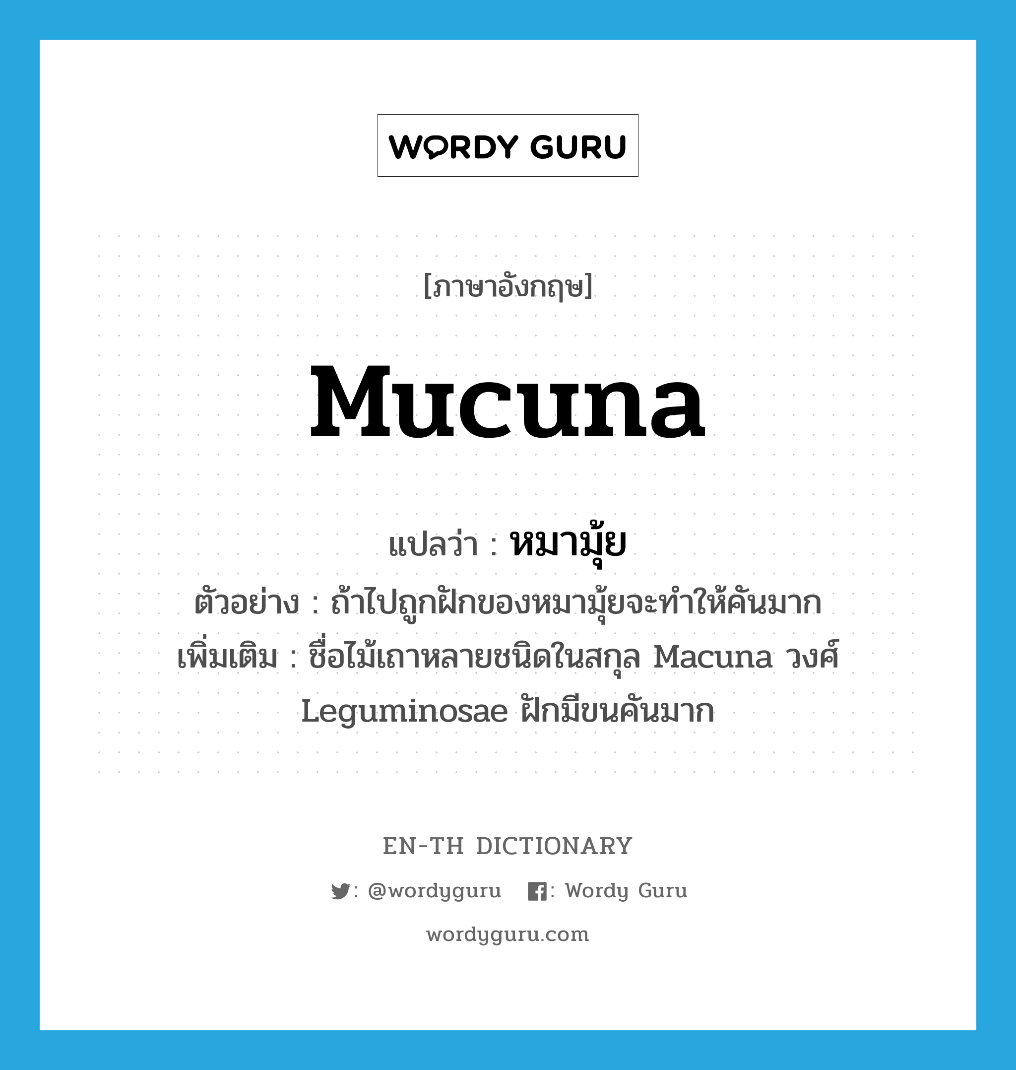 Mucuna แปลว่า?, คำศัพท์ภาษาอังกฤษ Mucuna แปลว่า หมามุ้ย ประเภท N ตัวอย่าง ถ้าไปถูกฝักของหมามุ้ยจะทำให้คันมาก เพิ่มเติม ชื่อไม้เถาหลายชนิดในสกุล Macuna วงศ์ Leguminosae ฝักมีขนคันมาก หมวด N