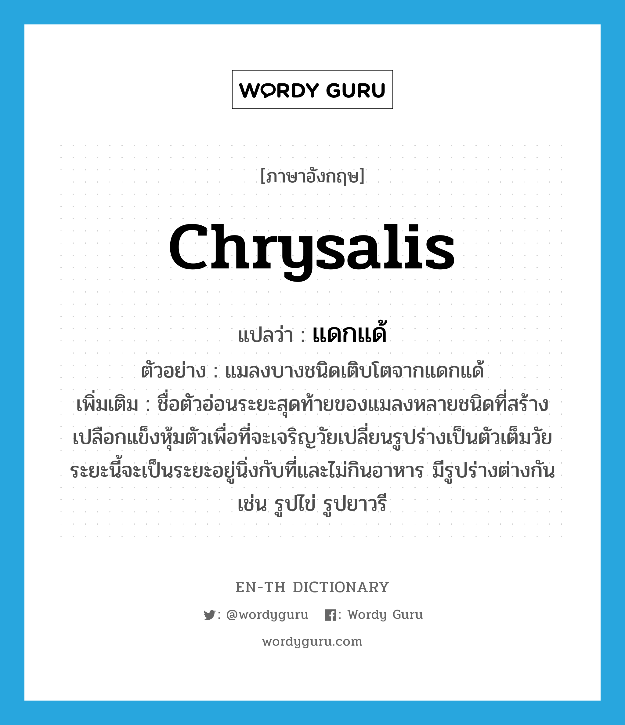 chrysalis แปลว่า?, คำศัพท์ภาษาอังกฤษ chrysalis แปลว่า แดกแด้ ประเภท N ตัวอย่าง แมลงบางชนิดเติบโตจากแดกแด้ เพิ่มเติม ชื่อตัวอ่อนระยะสุดท้ายของแมลงหลายชนิดที่สร้างเปลือกแข็งหุ้มตัวเพื่อที่จะเจริญวัยเปลี่ยนรูปร่างเป็นตัวเต็มวัย ระยะนี้จะเป็นระยะอยู่นิ่งกับที่และไม่กินอาหาร มีรูปร่างต่างกัน เช่น รูปไข่ รูปยาวรี หมวด N