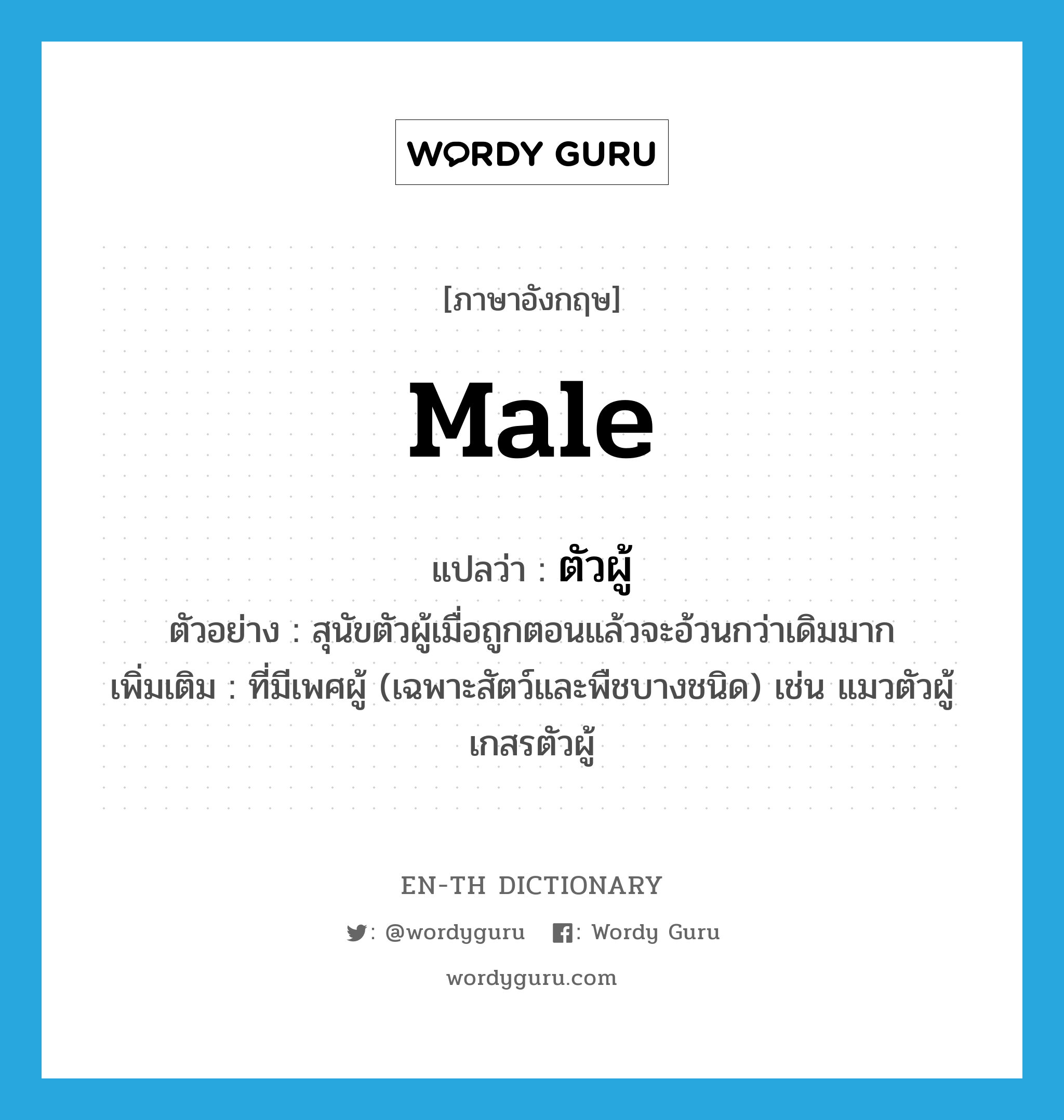 male แปลว่า?, คำศัพท์ภาษาอังกฤษ male แปลว่า ตัวผู้ ประเภท N ตัวอย่าง สุนัขตัวผู้เมื่อถูกตอนแล้วจะอ้วนกว่าเดิมมาก เพิ่มเติม ที่มีเพศผู้ (เฉพาะสัตว์และพืชบางชนิด) เช่น แมวตัวผู้ เกสรตัวผู้ หมวด N