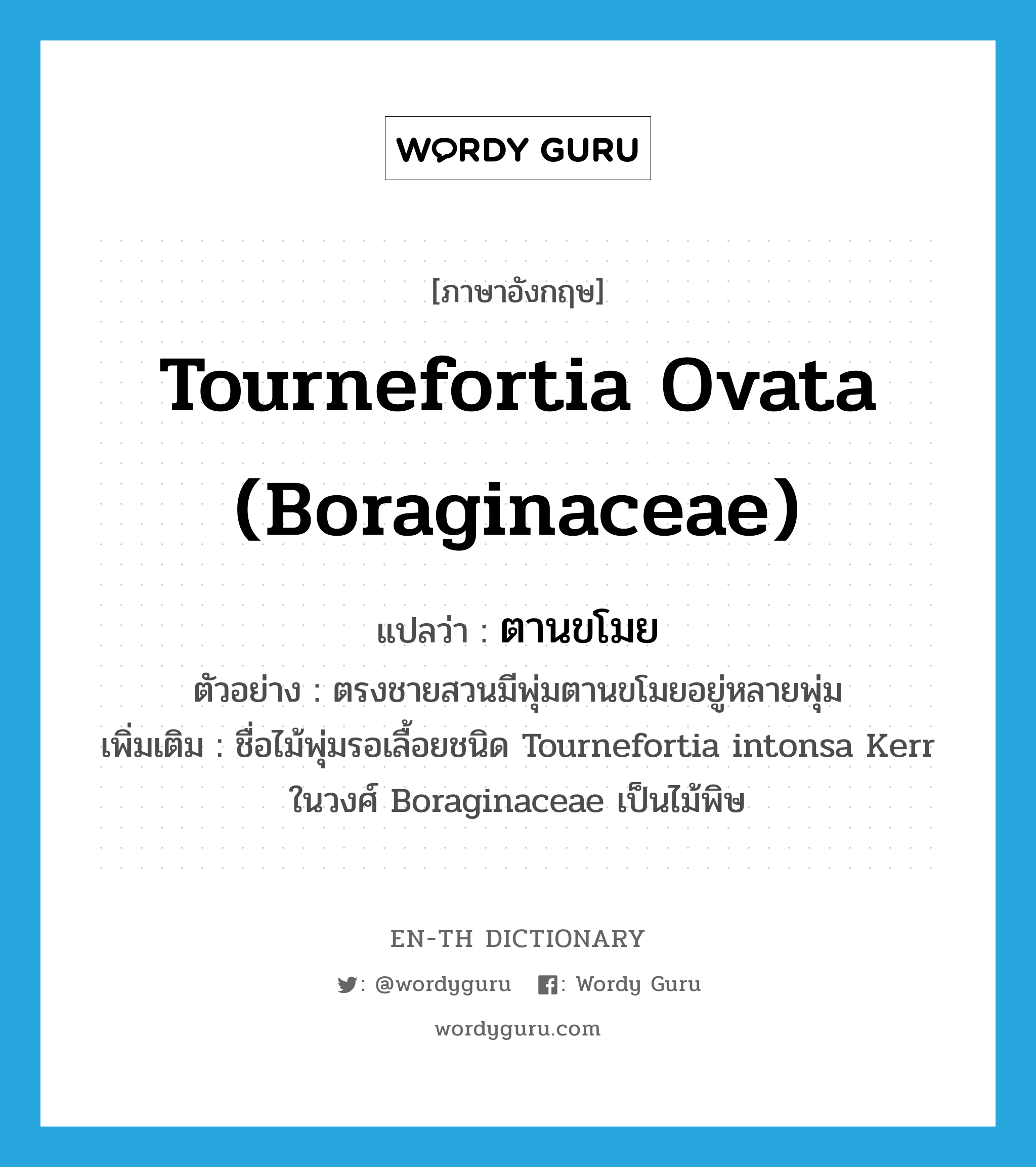 Tournefortia ovata (Boraginaceae) แปลว่า?, คำศัพท์ภาษาอังกฤษ Tournefortia ovata (Boraginaceae) แปลว่า ตานขโมย ประเภท N ตัวอย่าง ตรงชายสวนมีพุ่มตานขโมยอยู่หลายพุ่ม เพิ่มเติม ชื่อไม้พุ่มรอเลื้อยชนิด Tournefortia intonsa Kerr ในวงศ์ Boraginaceae เป็นไม้พิษ หมวด N