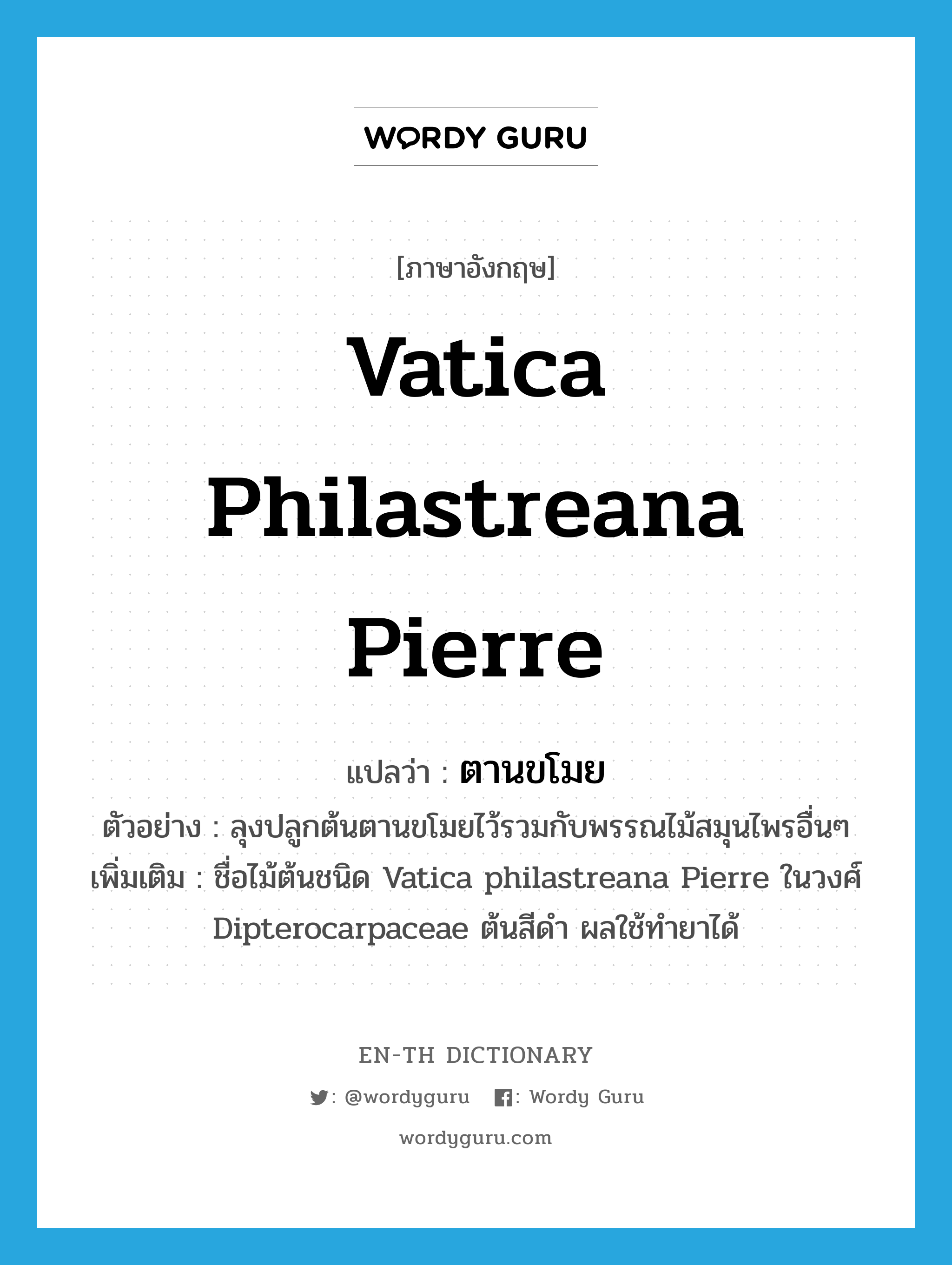 Vatica philastreana Pierre แปลว่า?, คำศัพท์ภาษาอังกฤษ Vatica philastreana Pierre แปลว่า ตานขโมย ประเภท N ตัวอย่าง ลุงปลูกต้นตานขโมยไว้รวมกับพรรณไม้สมุนไพรอื่นๆ เพิ่มเติม ชื่อไม้ต้นชนิด Vatica philastreana Pierre ในวงศ์ Dipterocarpaceae ต้นสีดำ ผลใช้ทำยาได้ หมวด N