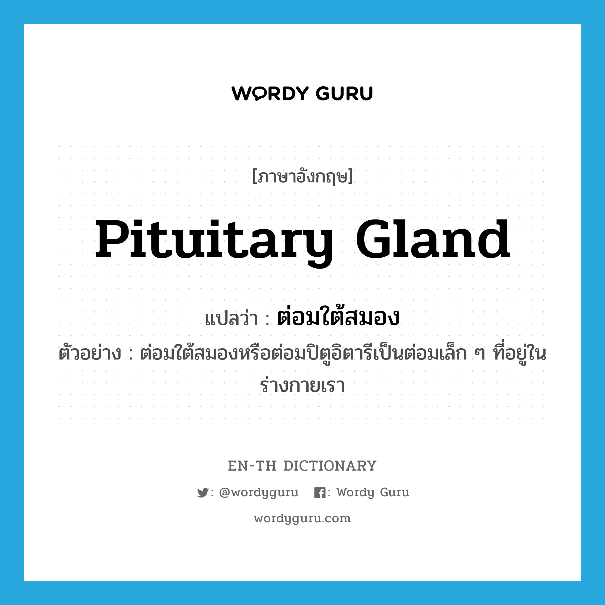 pituitary gland แปลว่า?, คำศัพท์ภาษาอังกฤษ pituitary gland แปลว่า ต่อมใต้สมอง ประเภท N ตัวอย่าง ต่อมใต้สมองหรือต่อมปิตูอิตารีเป็นต่อมเล็ก ๆ ที่อยู่ในร่างกายเรา หมวด N