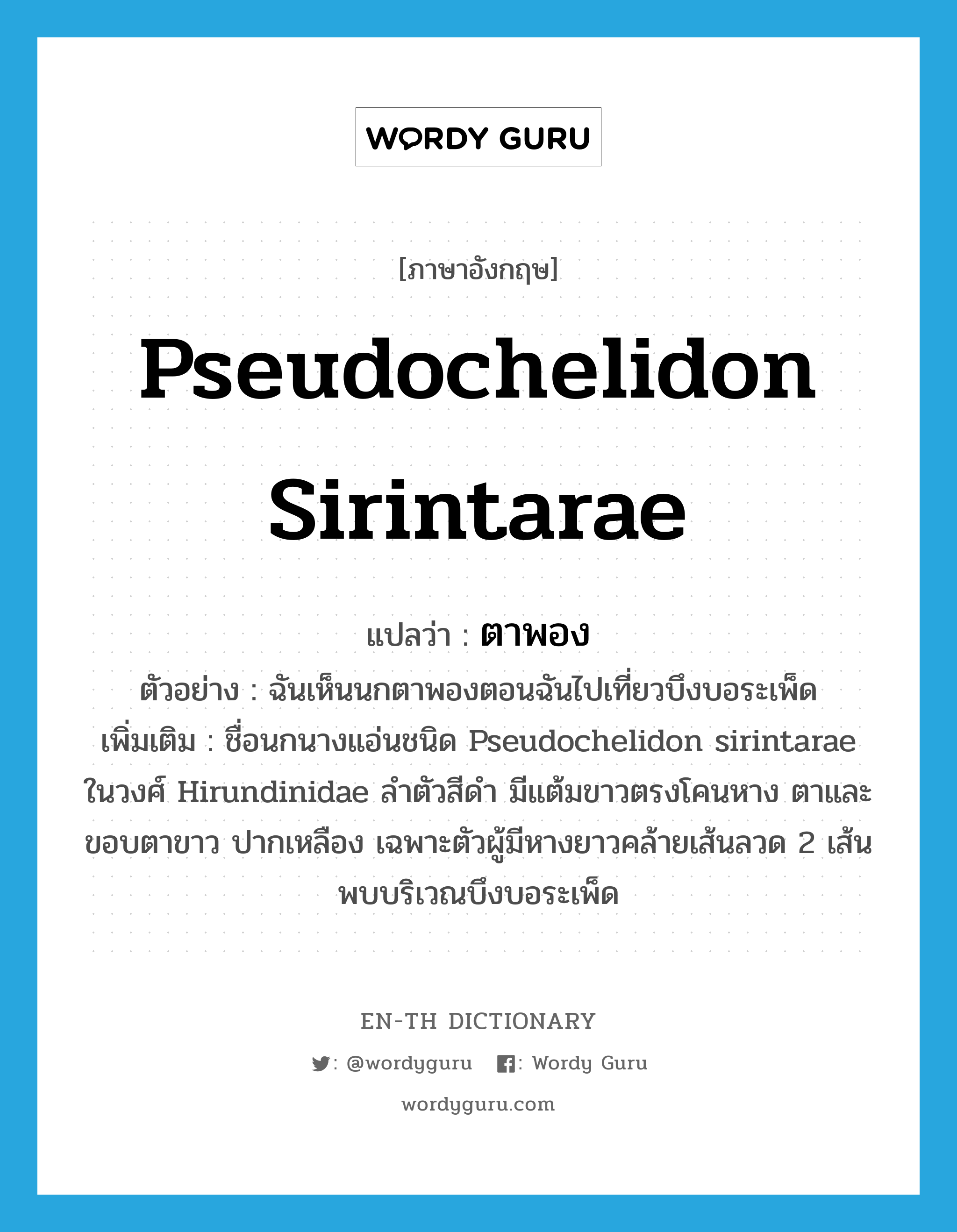 Pseudochelidon sirintarae แปลว่า?, คำศัพท์ภาษาอังกฤษ Pseudochelidon sirintarae แปลว่า ตาพอง ประเภท N ตัวอย่าง ฉันเห็นนกตาพองตอนฉันไปเที่ยวบึงบอระเพ็ด เพิ่มเติม ชื่อนกนางแอ่นชนิด Pseudochelidon sirintarae ในวงศ์ Hirundinidae ลำตัวสีดำ มีแต้มขาวตรงโคนหาง ตาและขอบตาขาว ปากเหลือง เฉพาะตัวผู้มีหางยาวคล้ายเส้นลวด 2 เส้น พบบริเวณบึงบอระเพ็ด หมวด N