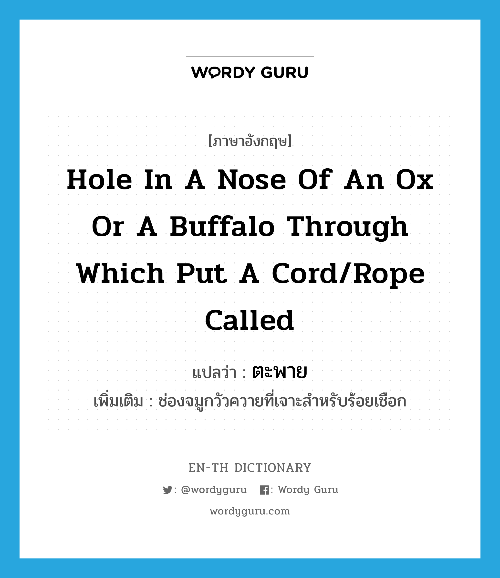 hole in a nose of an ox or a buffalo through which put a cord/rope called แปลว่า?, คำศัพท์ภาษาอังกฤษ hole in a nose of an ox or a buffalo through which put a cord/rope called แปลว่า ตะพาย ประเภท N เพิ่มเติม ช่องจมูกวัวควายที่เจาะสำหรับร้อยเชือก หมวด N