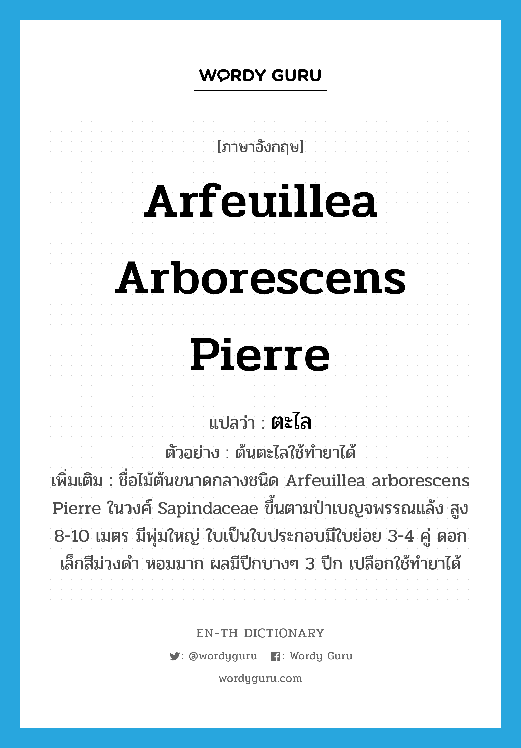 Arfeuillea arborescens Pierre แปลว่า?, คำศัพท์ภาษาอังกฤษ Arfeuillea arborescens Pierre แปลว่า ตะไล ประเภท N ตัวอย่าง ต้นตะไลใช้ทำยาได้ เพิ่มเติม ชื่อไม้ต้นขนาดกลางชนิด Arfeuillea arborescens Pierre ในวงศ์ Sapindaceae ขึ้นตามป่าเบญจพรรณแล้ง สูง 8-10 เมตร มีพุ่มใหญ่ ใบเป็นใบประกอบมีใบย่อย 3-4 คู่ ดอกเล็กสีม่วงดำ หอมมาก ผลมีปีกบางๆ 3 ปีก เปลือกใช้ทำยาได้ หมวด N