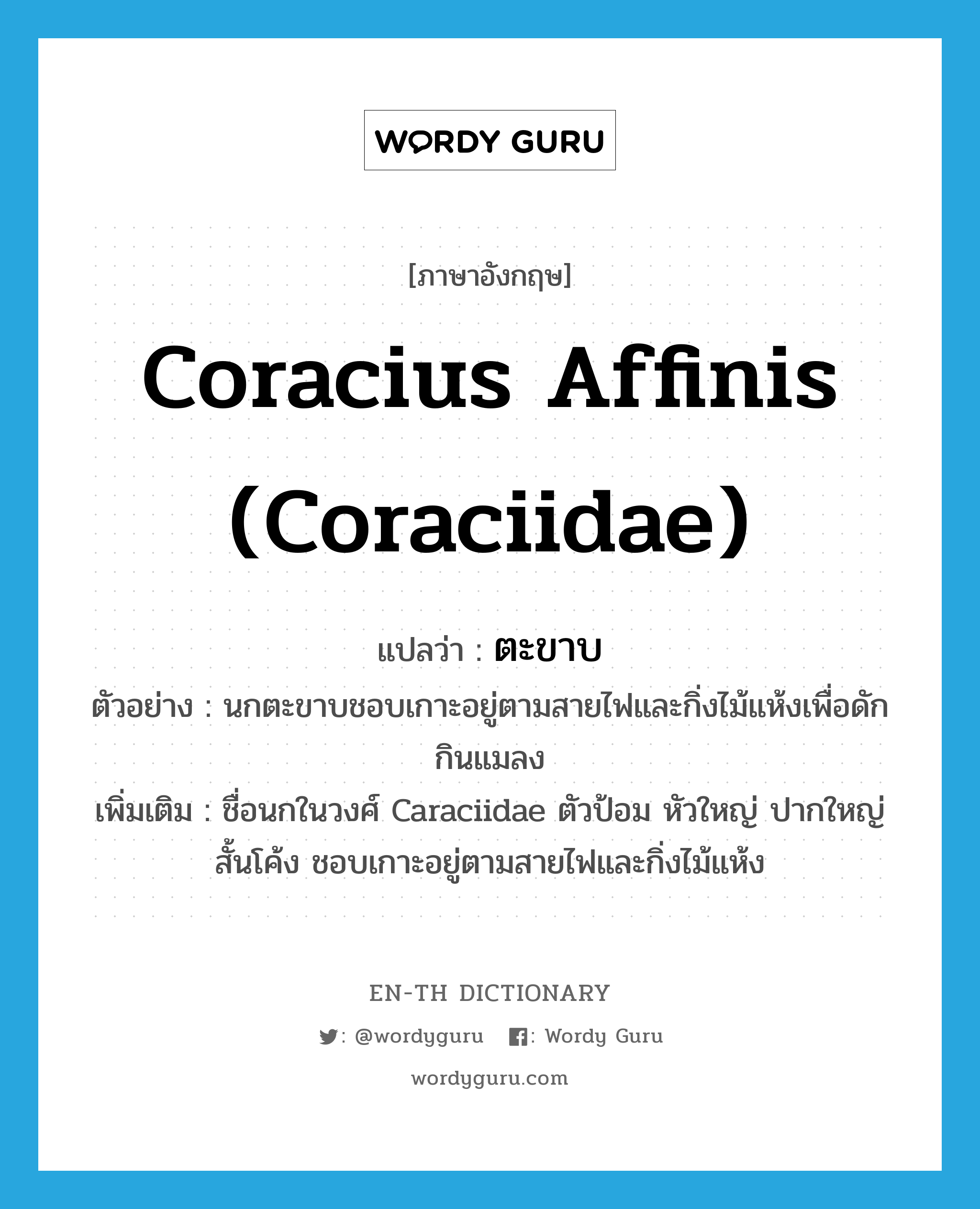 Coracius affinis (Coraciidae) แปลว่า?, คำศัพท์ภาษาอังกฤษ Coracius affinis (Coraciidae) แปลว่า ตะขาบ ประเภท N ตัวอย่าง นกตะขาบชอบเกาะอยู่ตามสายไฟและกิ่งไม้แห้งเพื่อดักกินแมลง เพิ่มเติม ชื่อนกในวงศ์ Caraciidae ตัวป้อม หัวใหญ่ ปากใหญ่สั้นโค้ง ชอบเกาะอยู่ตามสายไฟและกิ่งไม้แห้ง หมวด N