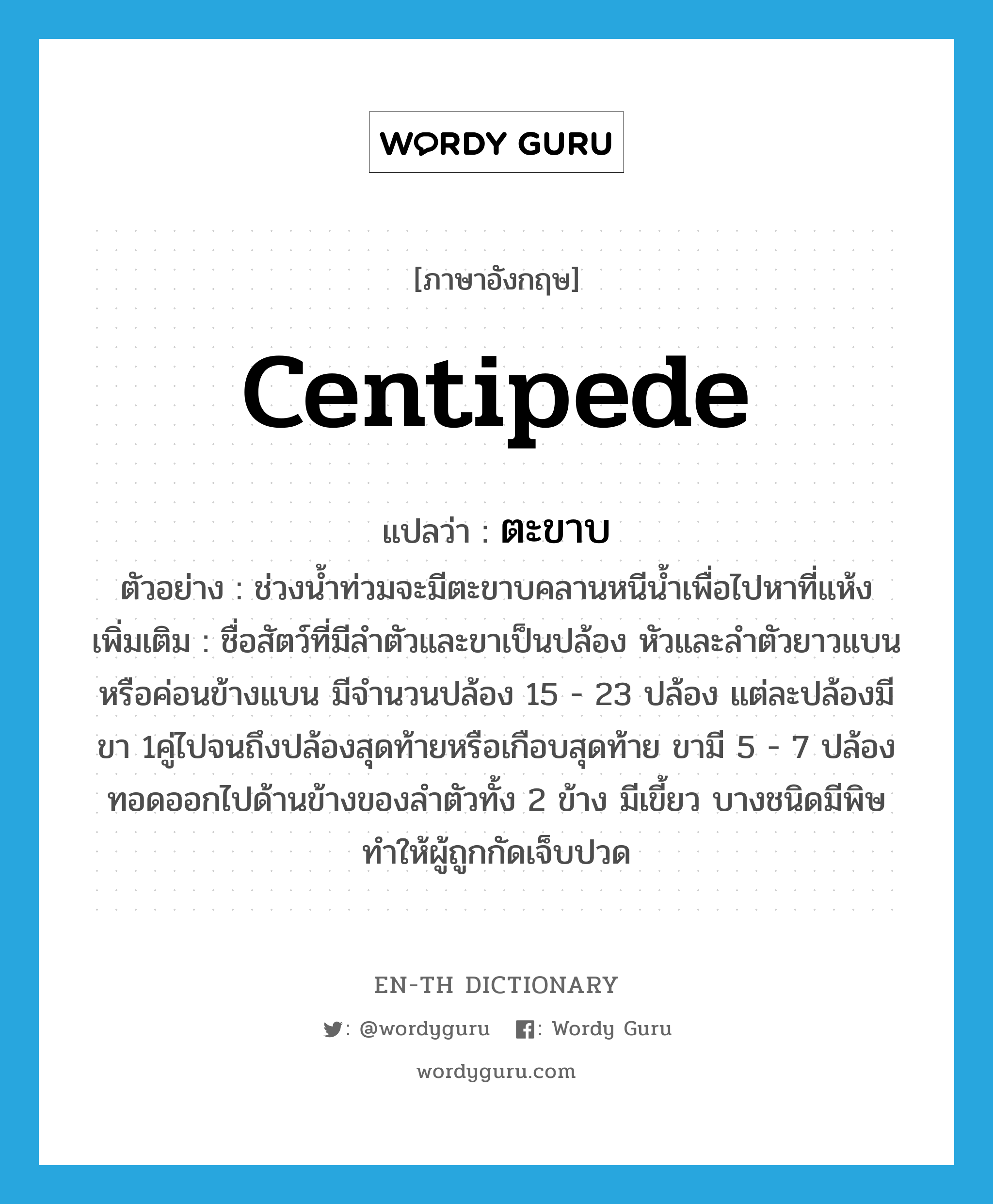 centipede แปลว่า?, คำศัพท์ภาษาอังกฤษ centipede แปลว่า ตะขาบ ประเภท N ตัวอย่าง ช่วงน้ำท่วมจะมีตะขาบคลานหนีน้ำเพื่อไปหาที่แห้ง เพิ่มเติม ชื่อสัตว์ที่มีลำตัวและขาเป็นปล้อง หัวและลำตัวยาวแบนหรือค่อนข้างแบน มีจำนวนปล้อง 15 - 23 ปล้อง แต่ละปล้องมีขา 1คู่ไปจนถึงปล้องสุดท้ายหรือเกือบสุดท้าย ขามี 5 - 7 ปล้อง ทอดออกไปด้านข้างของลำตัวทั้ง 2 ข้าง มีเขี้ยว บางชนิดมีพิษ ทำให้ผู้ถูกกัดเจ็บปวด หมวด N