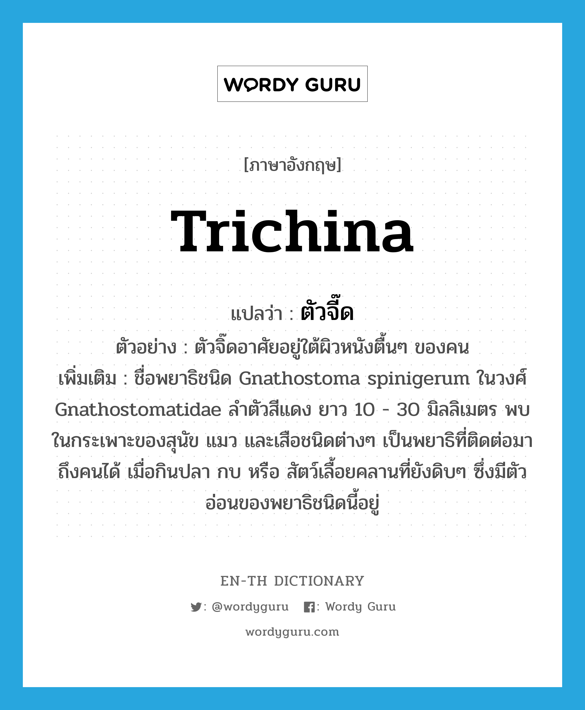 trichina แปลว่า?, คำศัพท์ภาษาอังกฤษ trichina แปลว่า ตัวจี๊ด ประเภท N ตัวอย่าง ตัวจิ๊ดอาศัยอยู่ใต้ผิวหนังตื้นๆ ของคน เพิ่มเติม ชื่อพยาธิชนิด Gnathostoma spinigerum ในวงศ์ Gnathostomatidae ลำตัวสีแดง ยาว 10 - 30 มิลลิเมตร พบในกระเพาะของสุนัข แมว และเสือชนิดต่างๆ เป็นพยาธิที่ติดต่อมาถึงคนได้ เมื่อกินปลา กบ หรือ สัตว์เลื้อยคลานที่ยังดิบๆ ซึ่งมีตัวอ่อนของพยาธิชนิดนี้อยู่ หมวด N