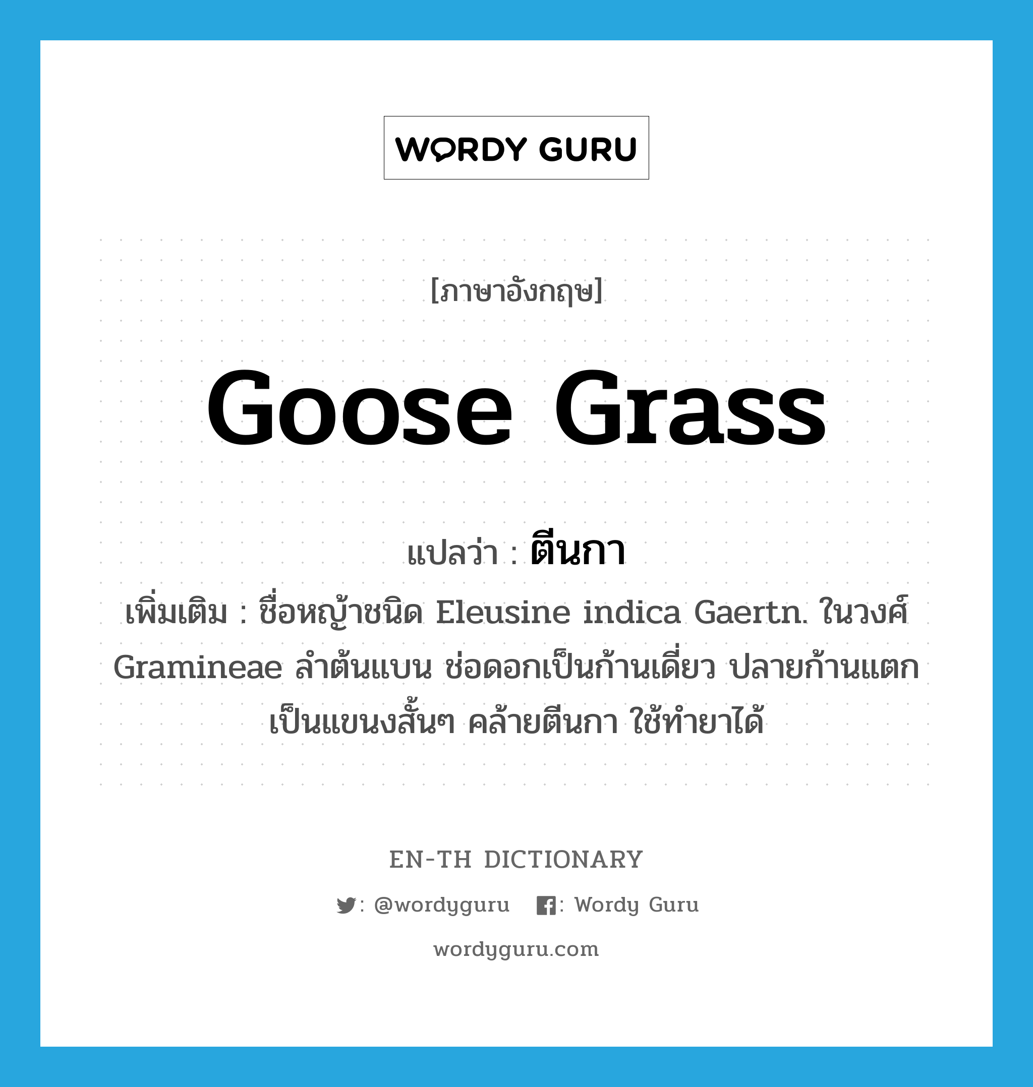 goose grass แปลว่า?, คำศัพท์ภาษาอังกฤษ goose grass แปลว่า ตีนกา ประเภท N เพิ่มเติม ชื่อหญ้าชนิด Eleusine indica Gaertn. ในวงศ์ Gramineae ลำต้นแบน ช่อดอกเป็นก้านเดี่ยว ปลายก้านแตกเป็นแขนงสั้นๆ คล้ายตีนกา ใช้ทำยาได้ หมวด N