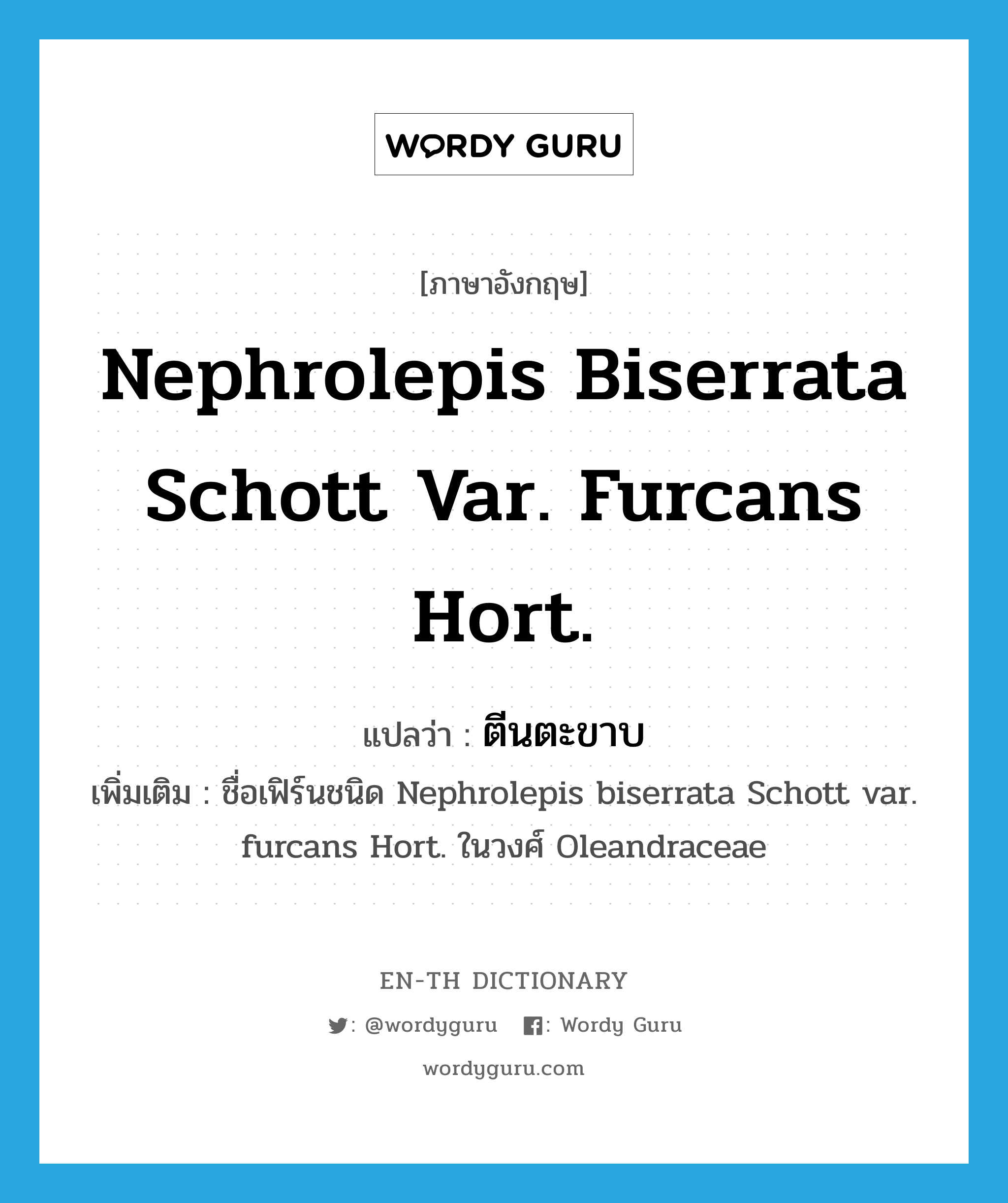 Nephrolepis biserrata Schott var. furcans Hort. แปลว่า?, คำศัพท์ภาษาอังกฤษ Nephrolepis biserrata Schott var. furcans Hort. แปลว่า ตีนตะขาบ ประเภท N เพิ่มเติม ชื่อเฟิร์นชนิด Nephrolepis biserrata Schott var. furcans Hort. ในวงศ์ Oleandraceae หมวด N