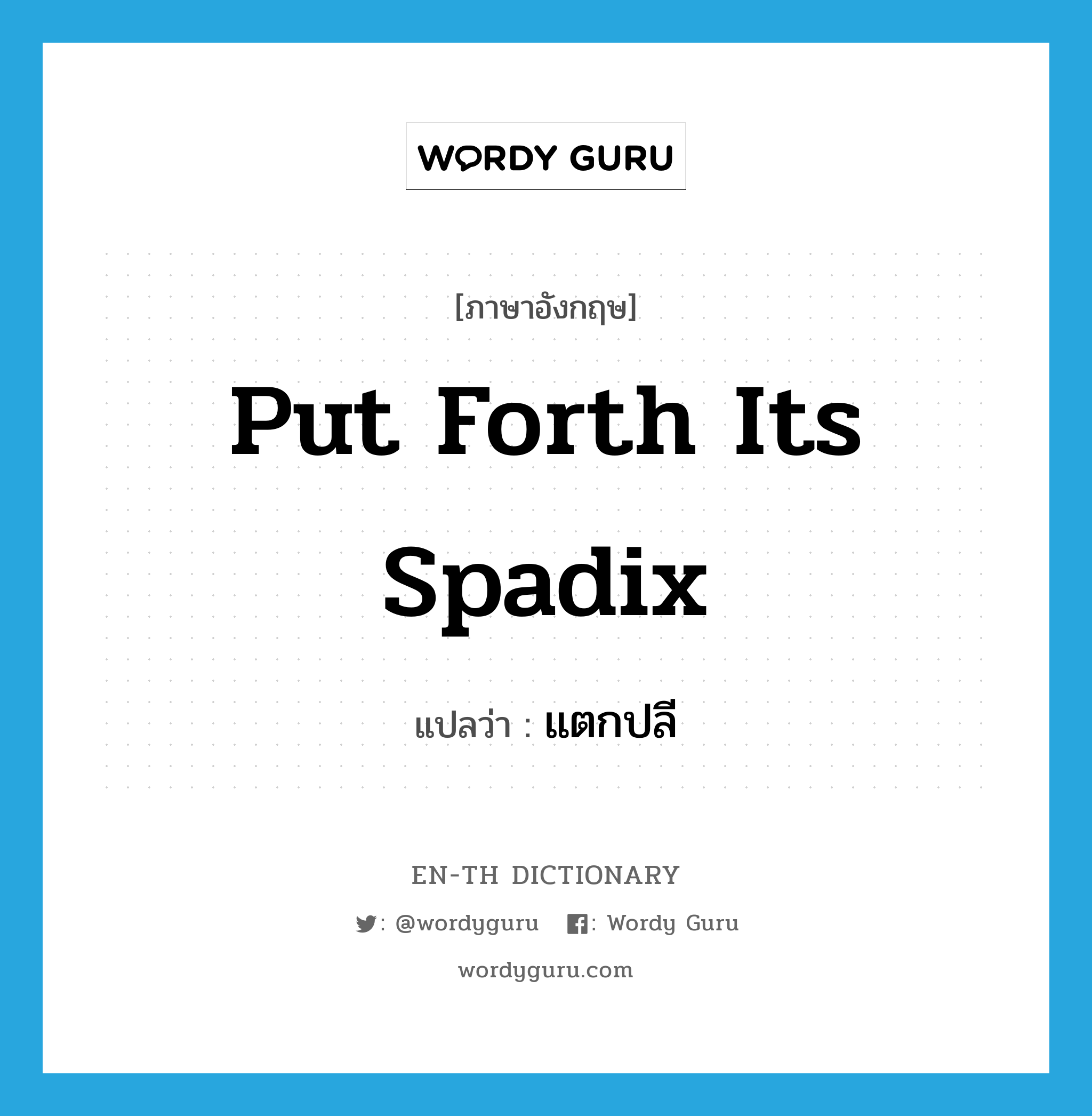 put forth its spadix แปลว่า?, คำศัพท์ภาษาอังกฤษ put forth its spadix แปลว่า แตกปลี ประเภท V หมวด V