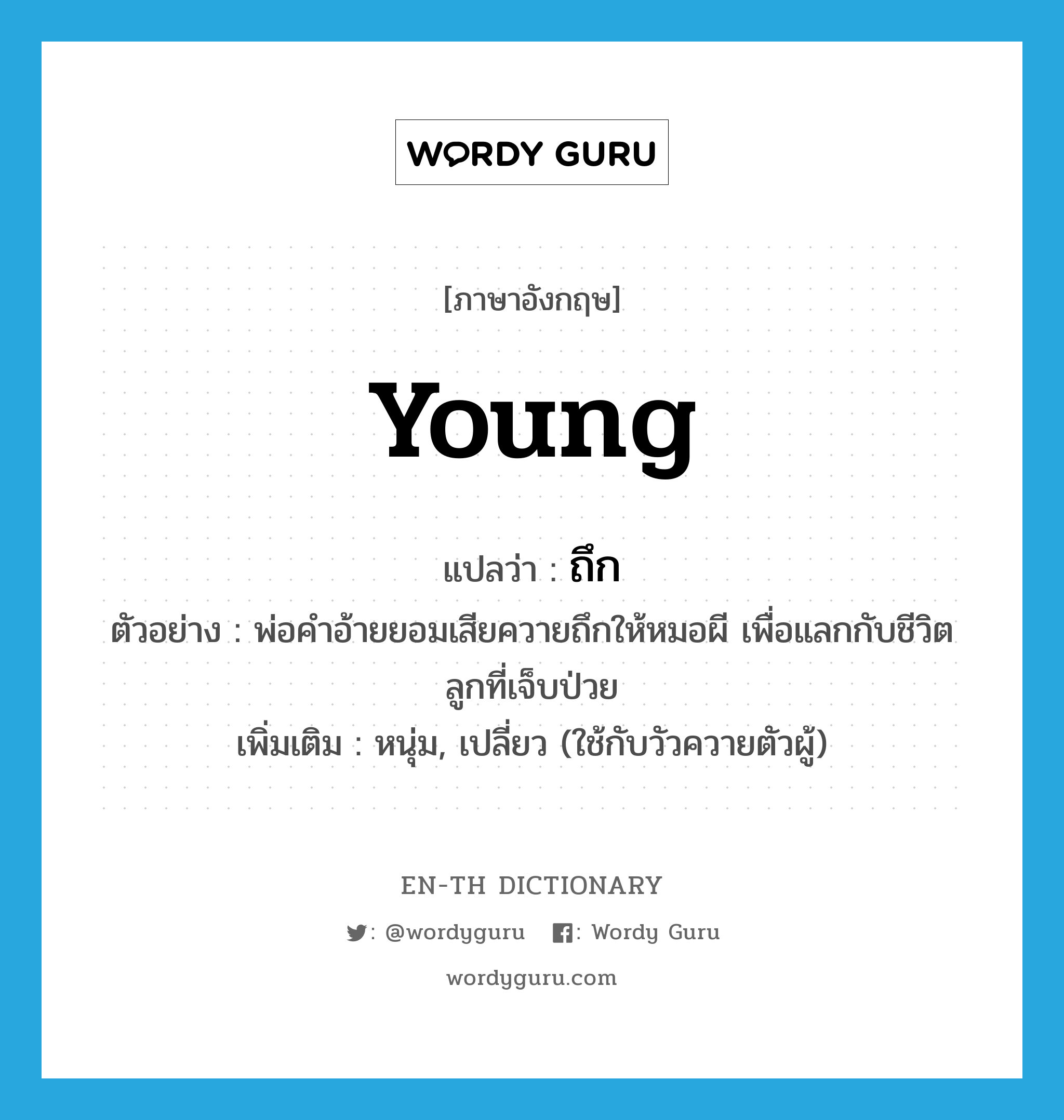 young แปลว่า?, คำศัพท์ภาษาอังกฤษ young แปลว่า ถึก ประเภท ADJ ตัวอย่าง พ่อคำอ้ายยอมเสียควายถึกให้หมอผี เพื่อแลกกับชีวิตลูกที่เจ็บป่วย เพิ่มเติม หนุ่ม, เปลี่ยว (ใช้กับวัวควายตัวผู้) หมวด ADJ