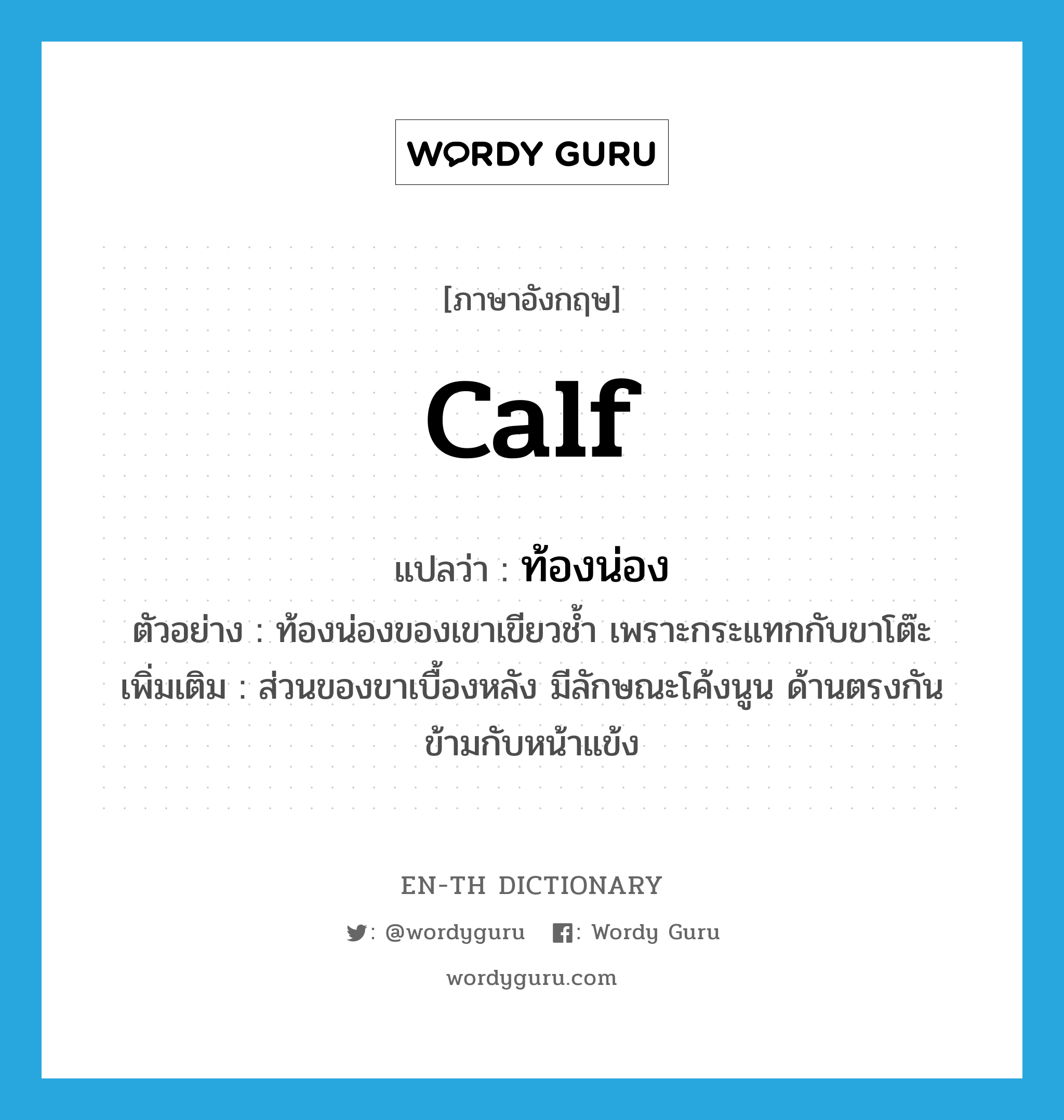 calf แปลว่า?, คำศัพท์ภาษาอังกฤษ calf แปลว่า ท้องน่อง ประเภท N ตัวอย่าง ท้องน่องของเขาเขียวช้ำ เพราะกระแทกกับขาโต๊ะ เพิ่มเติม ส่วนของขาเบื้องหลัง มีลักษณะโค้งนูน ด้านตรงกันข้ามกับหน้าแข้ง หมวด N