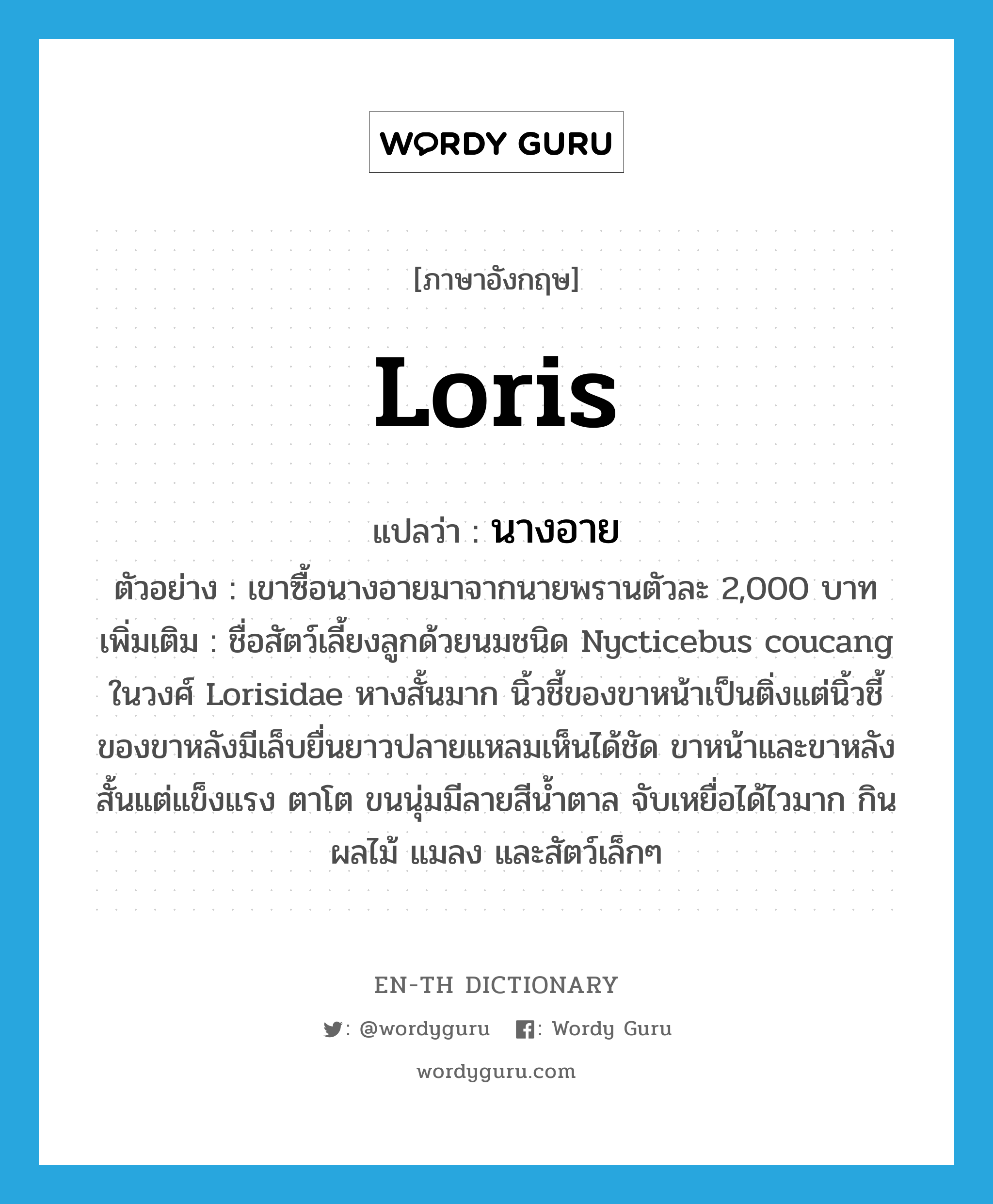 loris แปลว่า?, คำศัพท์ภาษาอังกฤษ loris แปลว่า นางอาย ประเภท N ตัวอย่าง เขาซื้อนางอายมาจากนายพรานตัวละ 2,000 บาท เพิ่มเติม ชื่อสัตว์เลี้ยงลูกด้วยนมชนิด Nycticebus coucang ในวงศ์ Lorisidae หางสั้นมาก นิ้วชี้ของขาหน้าเป็นติ่งแต่นิ้วชี้ของขาหลังมีเล็บยื่นยาวปลายแหลมเห็นได้ชัด ขาหน้าและขาหลังสั้นแต่แข็งแรง ตาโต ขนนุ่มมีลายสีน้ำตาล จับเหยื่อได้ไวมาก กินผลไม้ แมลง และสัตว์เล็กๆ หมวด N