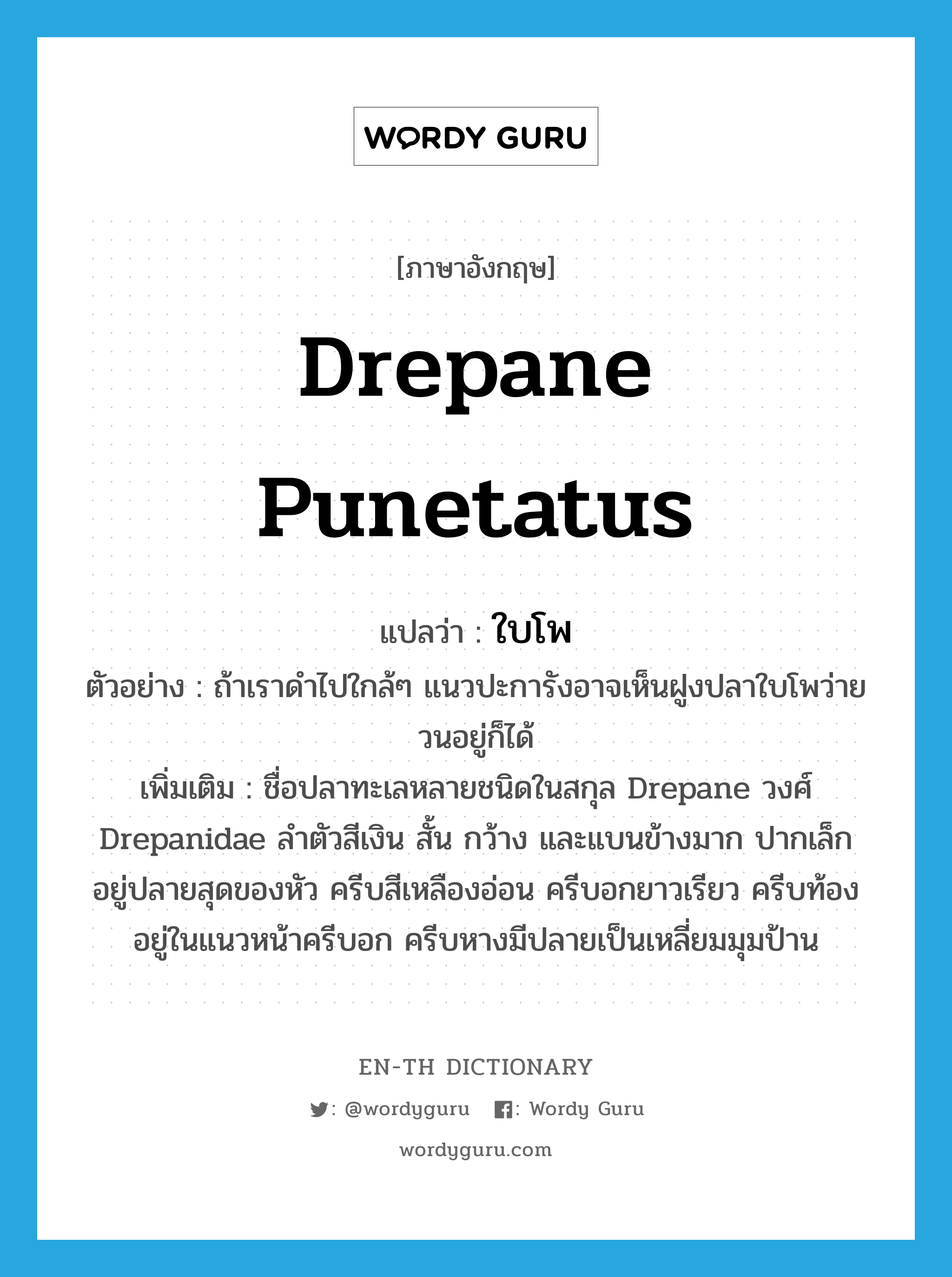 drepane punetatus แปลว่า?, คำศัพท์ภาษาอังกฤษ drepane punetatus แปลว่า ใบโพ ประเภท N ตัวอย่าง ถ้าเราดำไปใกล้ๆ แนวปะการังอาจเห็นฝูงปลาใบโพว่ายวนอยู่ก็ได้ เพิ่มเติม ชื่อปลาทะเลหลายชนิดในสกุล Drepane วงศ์ Drepanidae ลำตัวสีเงิน สั้น กว้าง และแบนข้างมาก ปากเล็กอยู่ปลายสุดของหัว ครีบสีเหลืองอ่อน ครีบอกยาวเรียว ครีบท้องอยู่ในแนวหน้าครีบอก ครีบหางมีปลายเป็นเหลี่ยมมุมป้าน หมวด N