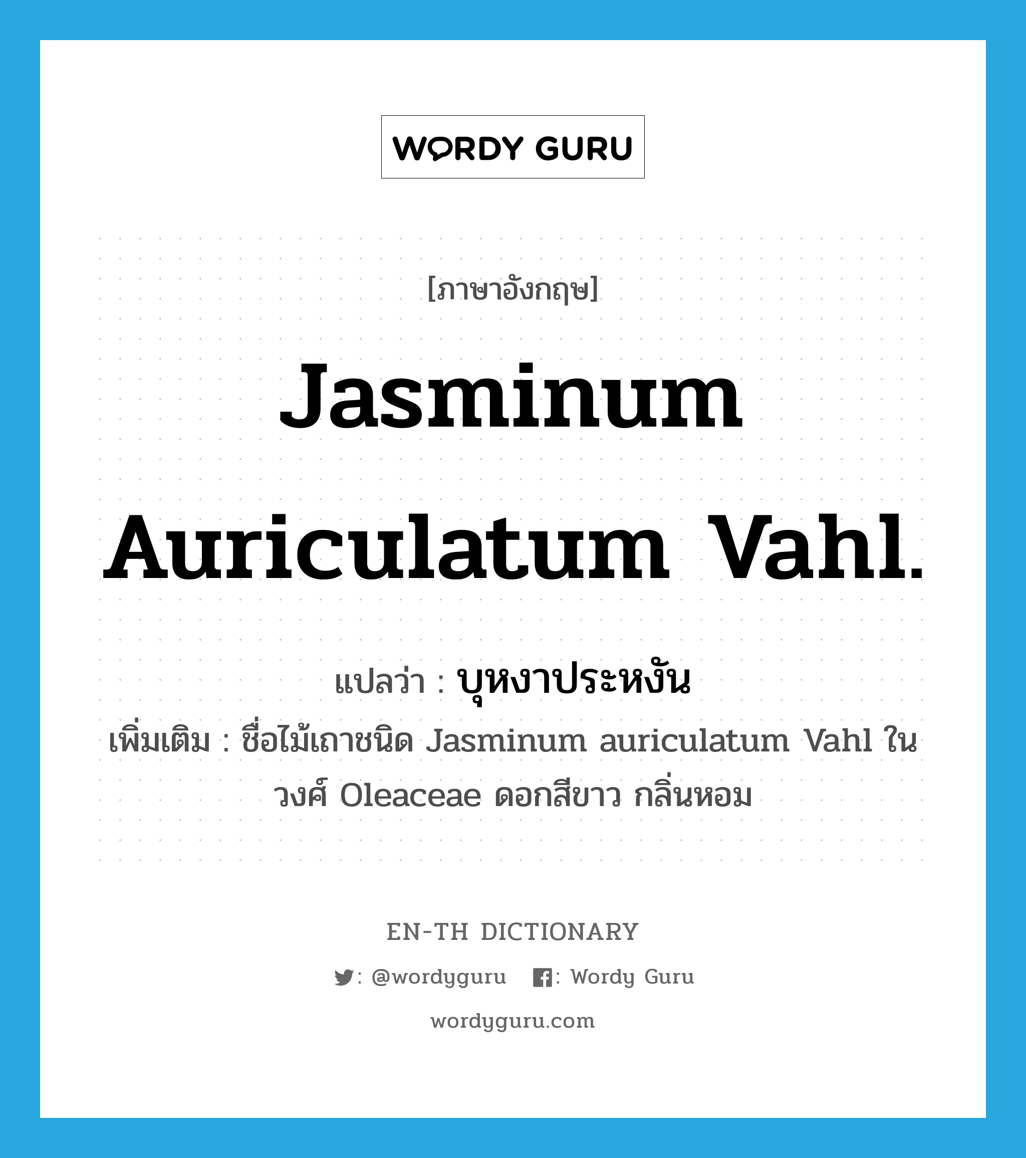 Jasminum auriculatum Vahl. แปลว่า?, คำศัพท์ภาษาอังกฤษ Jasminum auriculatum Vahl. แปลว่า บุหงาประหงัน ประเภท N เพิ่มเติม ชื่อไม้เถาชนิด Jasminum auriculatum Vahl ในวงศ์ Oleaceae ดอกสีขาว กลิ่นหอม หมวด N