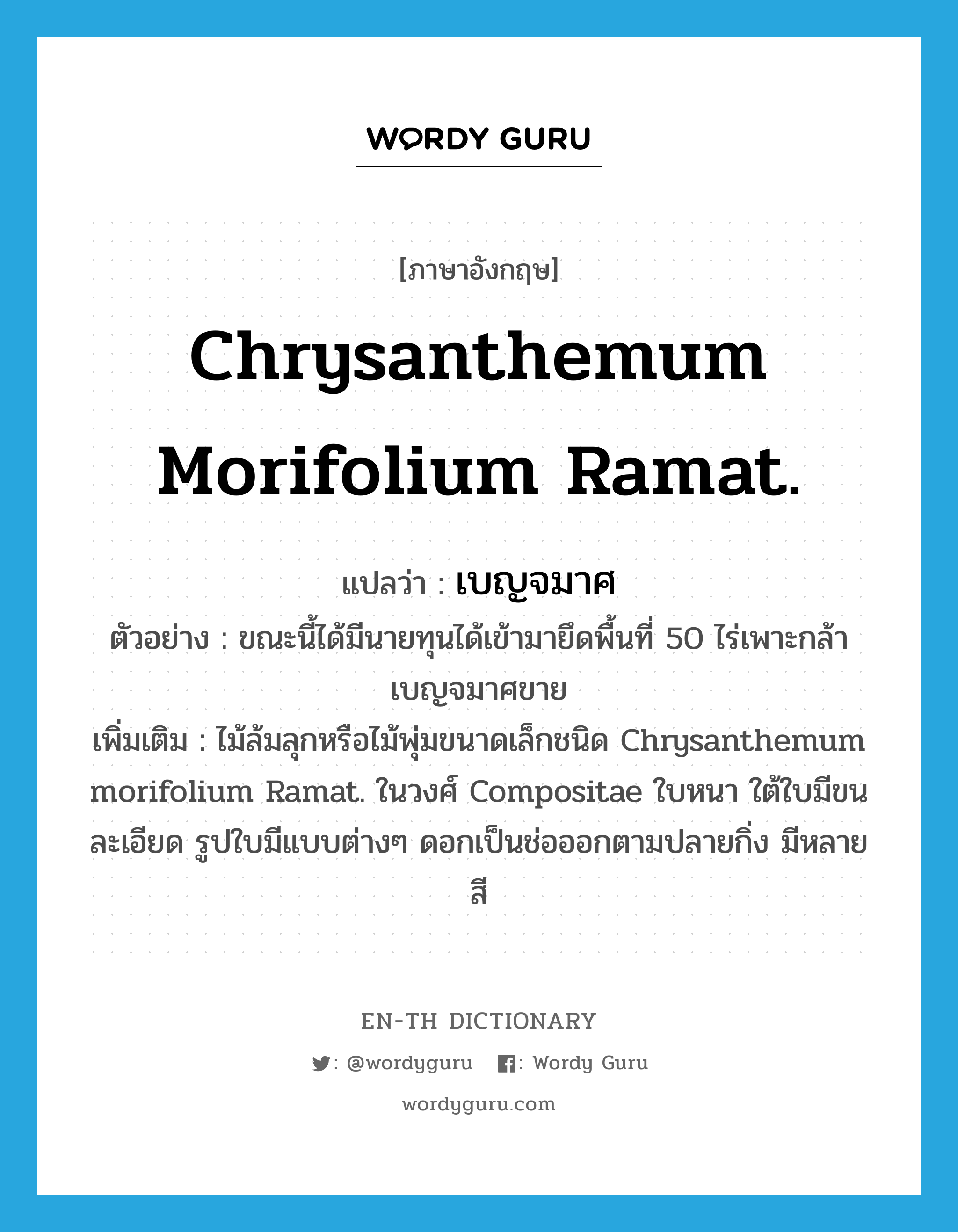 Chrysanthemum morifolium Ramat. แปลว่า?, คำศัพท์ภาษาอังกฤษ Chrysanthemum morifolium Ramat. แปลว่า เบญจมาศ ประเภท N ตัวอย่าง ขณะนี้ได้มีนายทุนได้เข้ามายึดพื้นที่ 50 ไร่เพาะกล้าเบญจมาศขาย เพิ่มเติม ไม้ล้มลุกหรือไม้พุ่มขนาดเล็กชนิด Chrysanthemum morifolium Ramat. ในวงศ์ Compositae ใบหนา ใต้ใบมีขนละเอียด รูปใบมีแบบต่างๆ ดอกเป็นช่อออกตามปลายกิ่ง มีหลายสี หมวด N