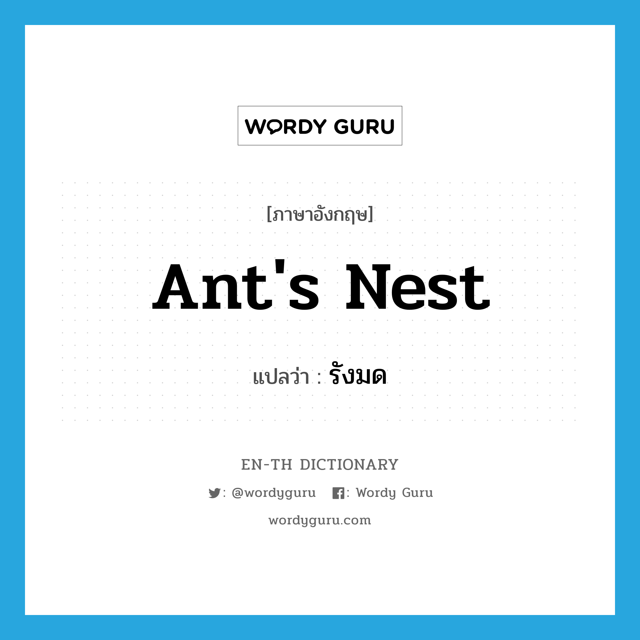 ant&#39;s nest แปลว่า?, คำศัพท์ภาษาอังกฤษ ant&#39;s nest แปลว่า รังมด ประเภท N หมวด N