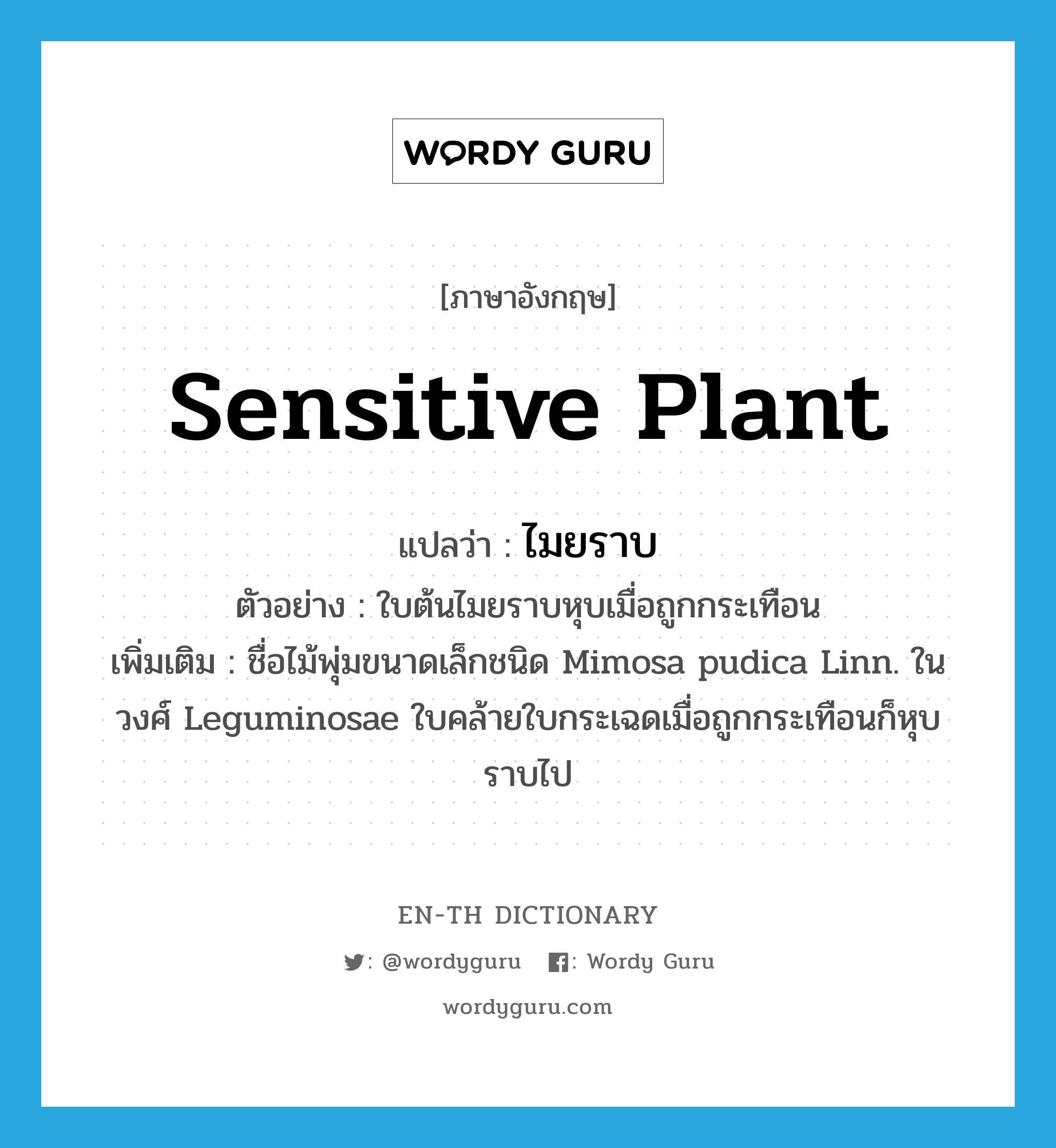 sensitive plant แปลว่า?, คำศัพท์ภาษาอังกฤษ sensitive plant แปลว่า ไมยราบ ประเภท N ตัวอย่าง ใบต้นไมยราบหุบเมื่อถูกกระเทือน เพิ่มเติม ชื่อไม้พุ่มขนาดเล็กชนิด Mimosa pudica Linn. ในวงศ์ Leguminosae ใบคล้ายใบกระเฉดเมื่อถูกกระเทือนก็หุบราบไป หมวด N