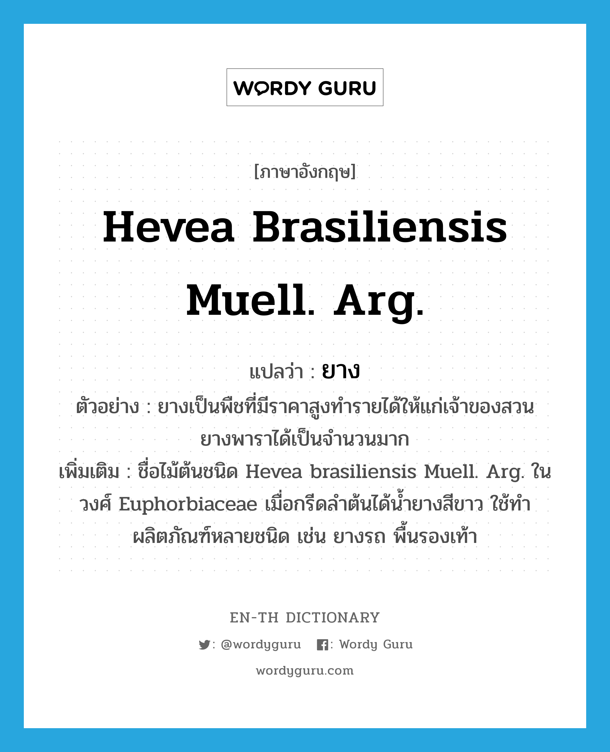 Hevea brasiliensis Muell. Arg. แปลว่า?, คำศัพท์ภาษาอังกฤษ Hevea brasiliensis Muell. Arg. แปลว่า ยาง ประเภท N ตัวอย่าง ยางเป็นพืชที่มีราคาสูงทำรายได้ให้แก่เจ้าของสวนยางพาราได้เป็นจำนวนมาก เพิ่มเติม ชื่อไม้ต้นชนิด Hevea brasiliensis Muell. Arg. ในวงศ์ Euphorbiaceae เมื่อกรีดลำต้นได้น้ำยางสีขาว ใช้ทำผลิตภัณฑ์หลายชนิด เช่น ยางรถ พื้นรองเท้า หมวด N