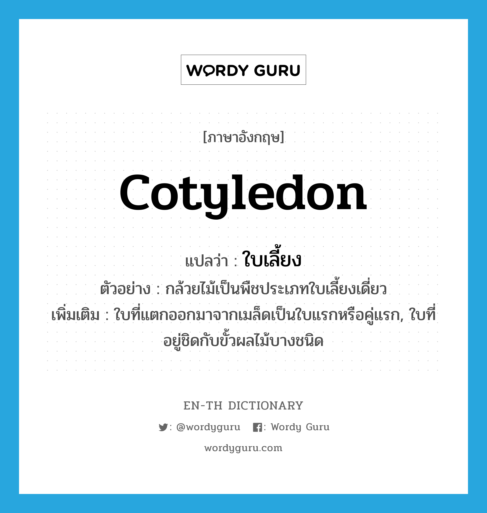 cotyledon แปลว่า?, คำศัพท์ภาษาอังกฤษ cotyledon แปลว่า ใบเลี้ยง ประเภท N ตัวอย่าง กล้วยไม้เป็นพืชประเภทใบเลี้ยงเดี่ยว เพิ่มเติม ใบที่แตกออกมาจากเมล็ดเป็นใบแรกหรือคู่แรก, ใบที่อยู่ชิดกับขั้วผลไม้บางชนิด หมวด N