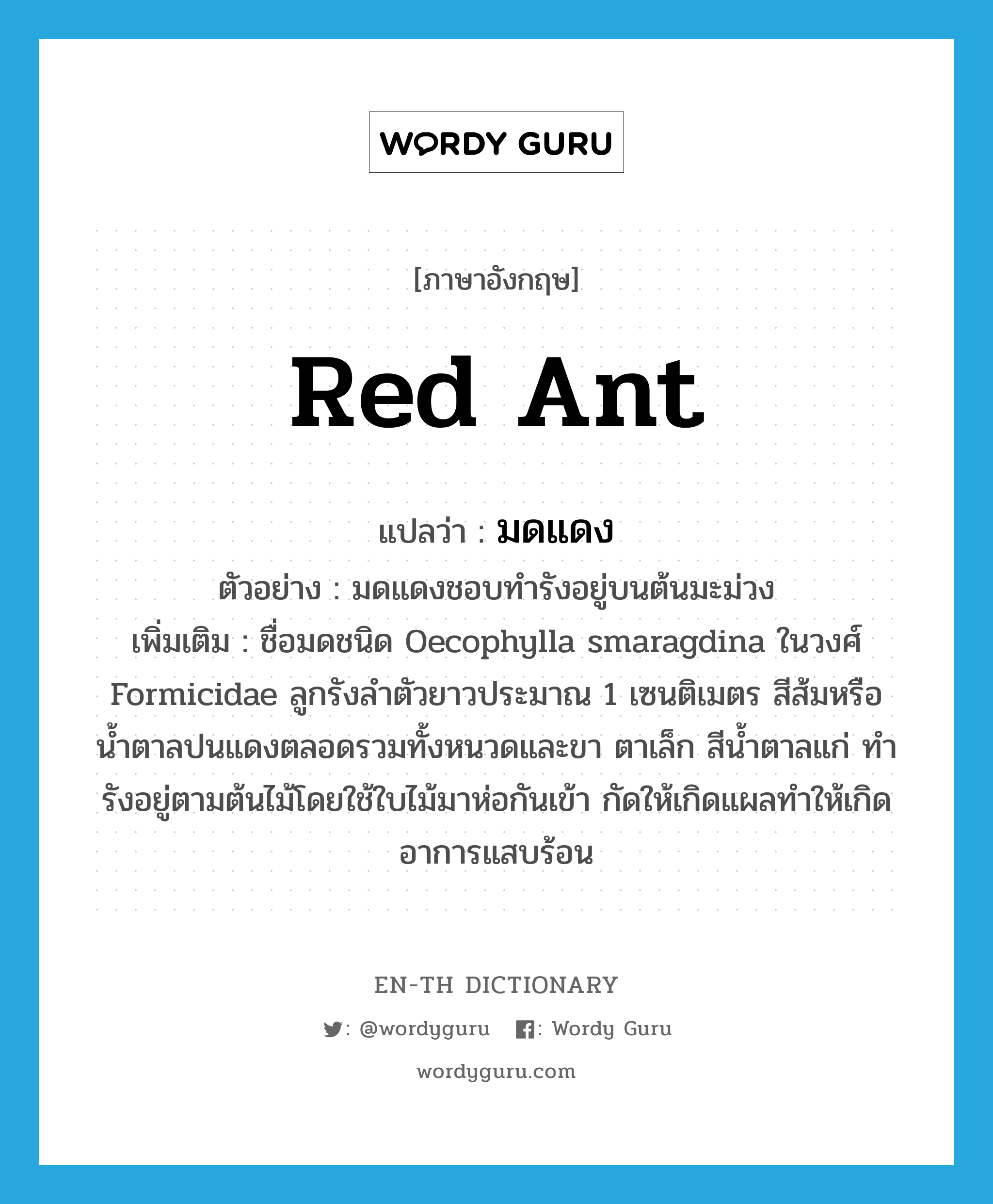 red ant แปลว่า?, คำศัพท์ภาษาอังกฤษ red ant แปลว่า มดแดง ประเภท N ตัวอย่าง มดแดงชอบทำรังอยู่บนต้นมะม่วง เพิ่มเติม ชื่อมดชนิด Oecophylla smaragdina ในวงศ์ Formicidae ลูกรังลำตัวยาวประมาณ 1 เซนติเมตร สีส้มหรือน้ำตาลปนแดงตลอดรวมทั้งหนวดและขา ตาเล็ก สีน้ำตาลแก่ ทำรังอยู่ตามต้นไม้โดยใช้ใบไม้มาห่อกันเข้า กัดให้เกิดแผลทำให้เกิดอาการแสบร้อน หมวด N