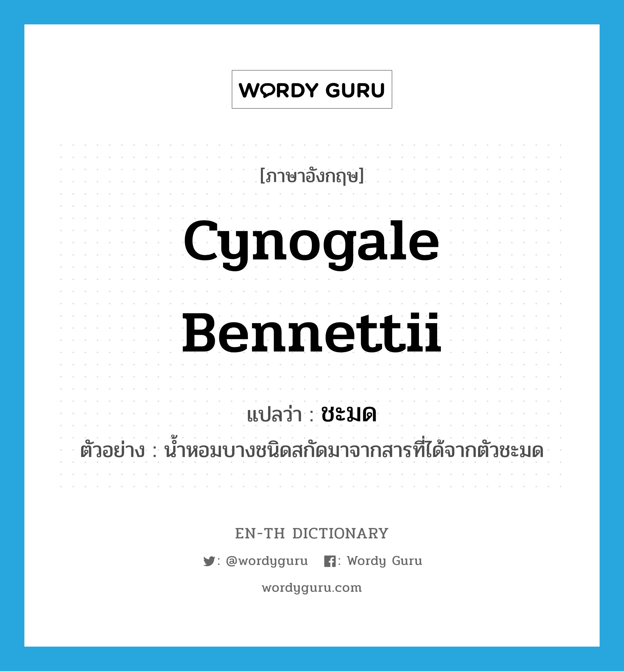 Cynogale bennettii แปลว่า?, คำศัพท์ภาษาอังกฤษ Cynogale bennettii แปลว่า ชะมด ประเภท N ตัวอย่าง น้ำหอมบางชนิดสกัดมาจากสารที่ได้จากตัวชะมด หมวด N