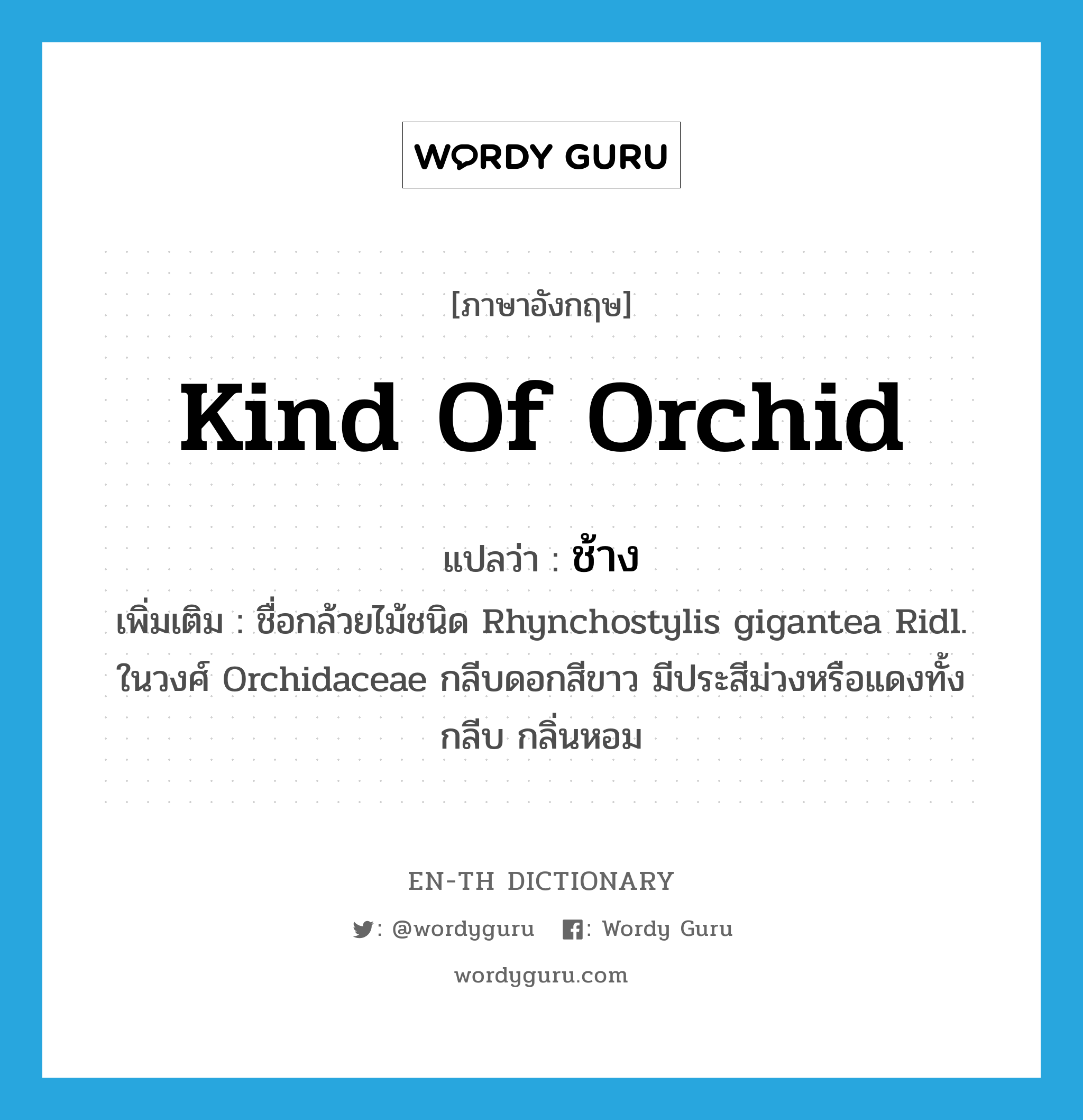 kind of orchid แปลว่า?, คำศัพท์ภาษาอังกฤษ kind of orchid แปลว่า ช้าง ประเภท N เพิ่มเติม ชื่อกล้วยไม้ชนิด Rhynchostylis gigantea Ridl. ในวงศ์ Orchidaceae กลีบดอกสีขาว มีประสีม่วงหรือแดงทั้งกลีบ กลิ่นหอม หมวด N